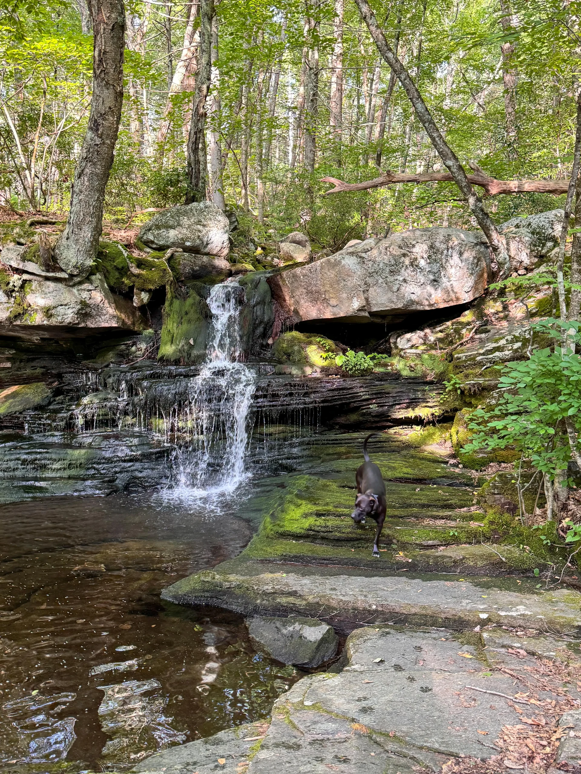 Explore the Pilfershire Abandoned Town Trail in Simsbury