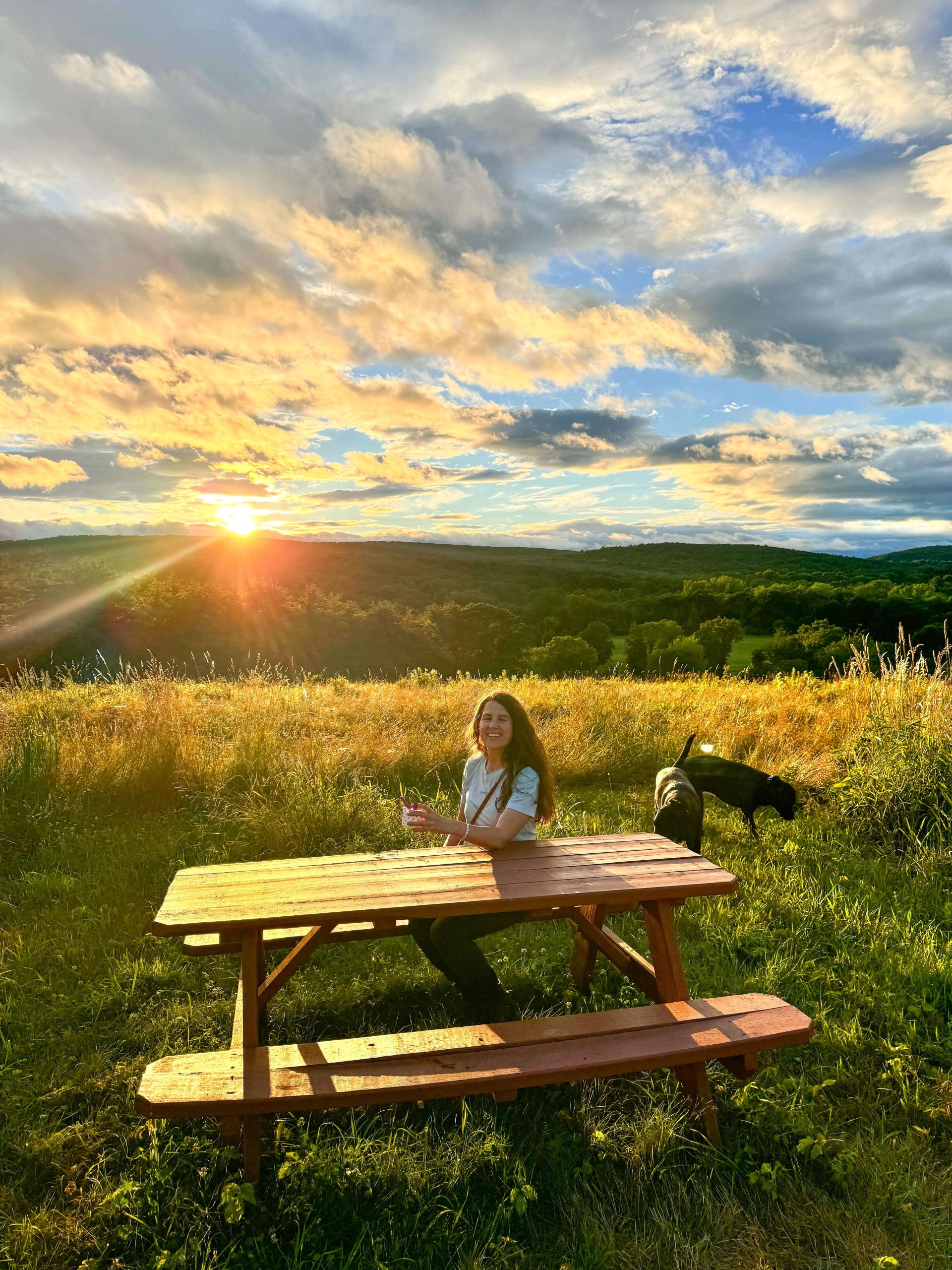 33 Fun Things to Do in CT This Summer (Beyond the Beach!)