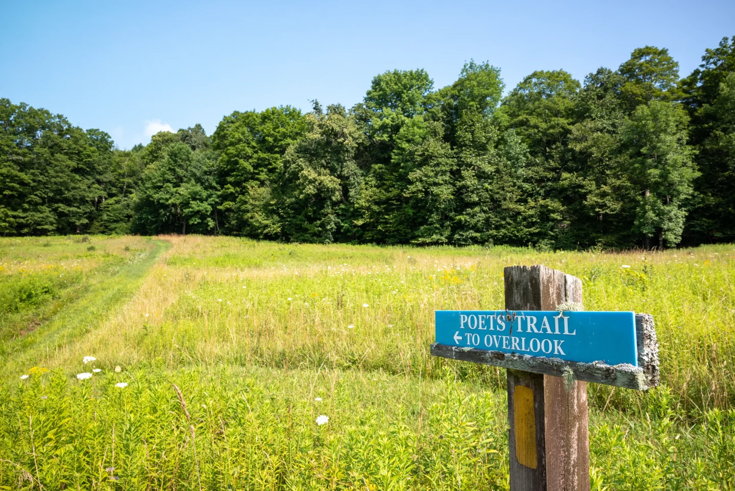 summer trail at king farm in vermont with green trees with poets trail sign