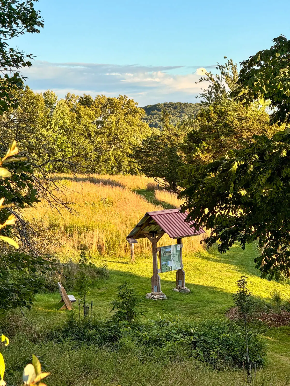 view of trailhead in green meadow with blue sky above.