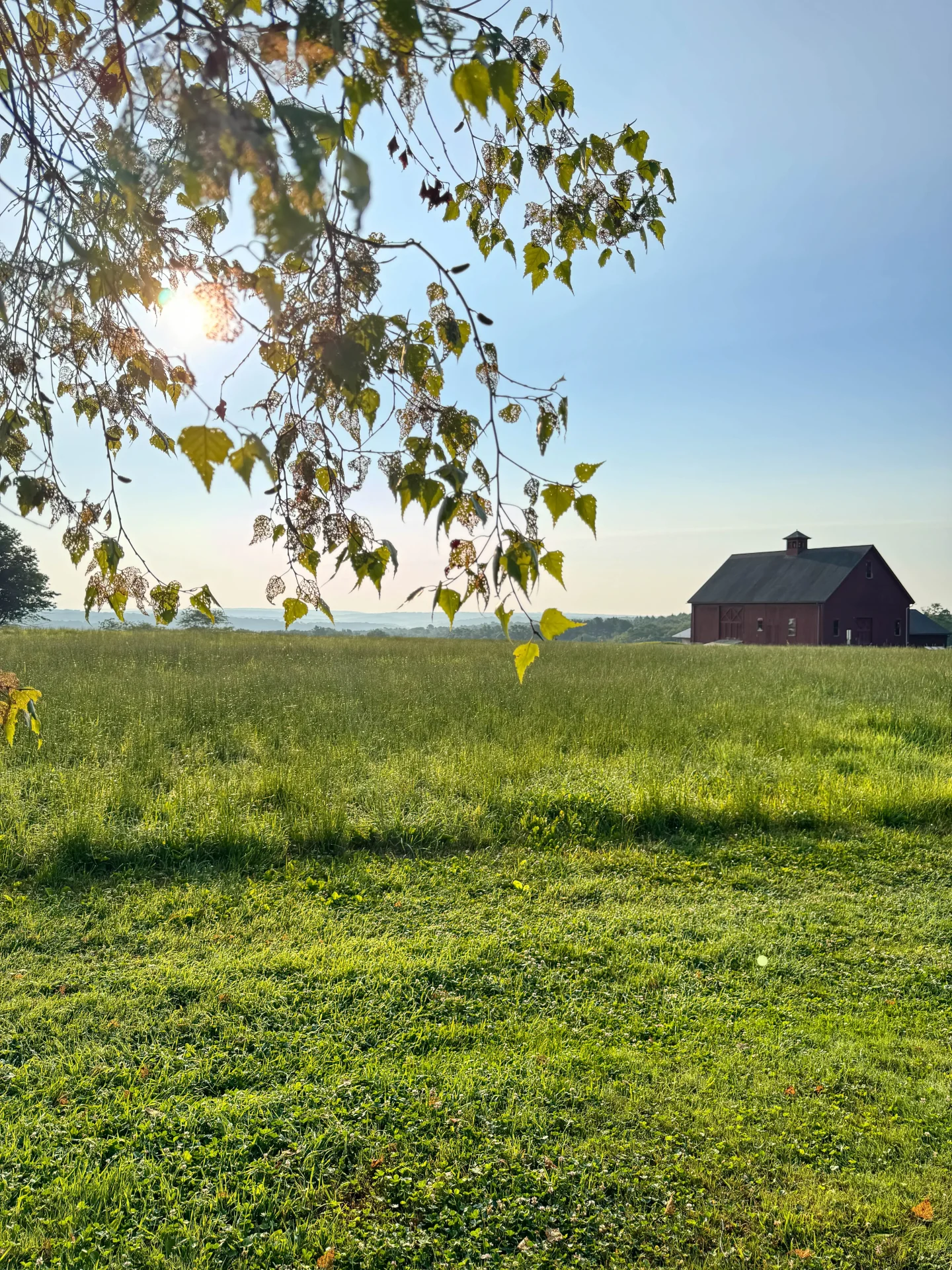 hiking trail at bolton farm in connecticut with red barn in distance and sun in the sky