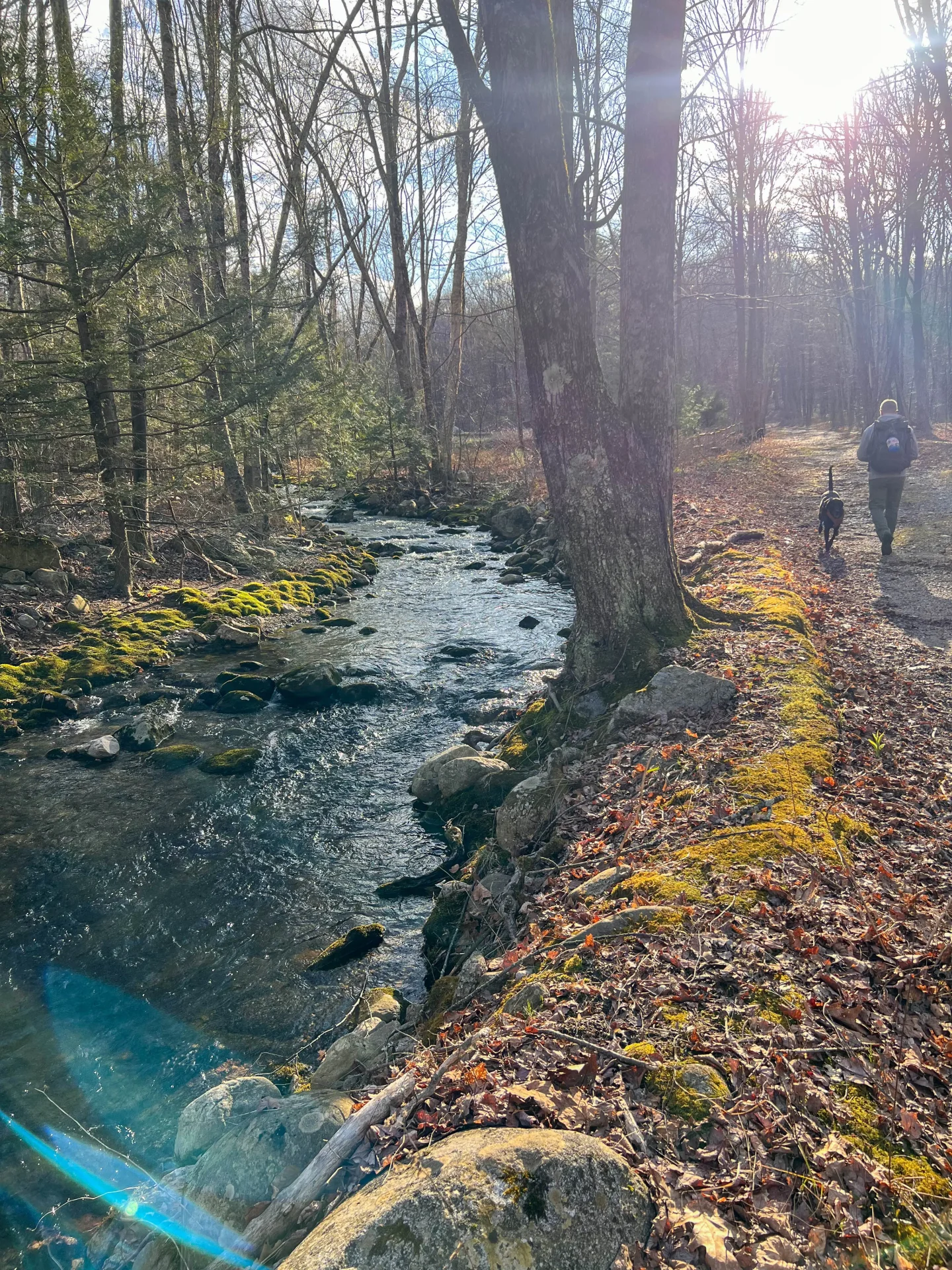 walking trail along a river in granby CT in early spring with bare trees