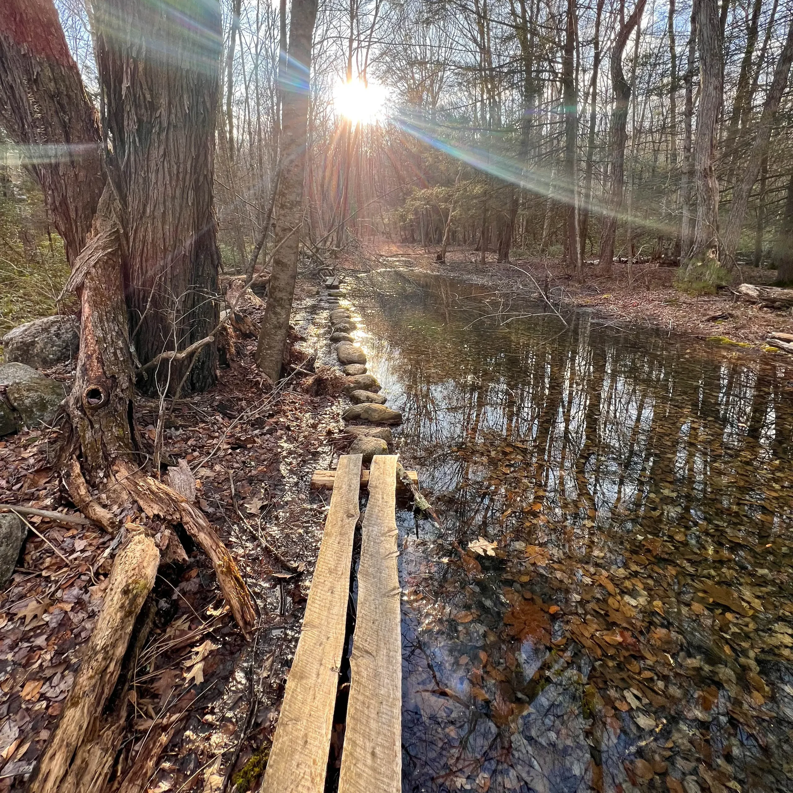 walking trail along a river in granby CT in early spring with bare trees