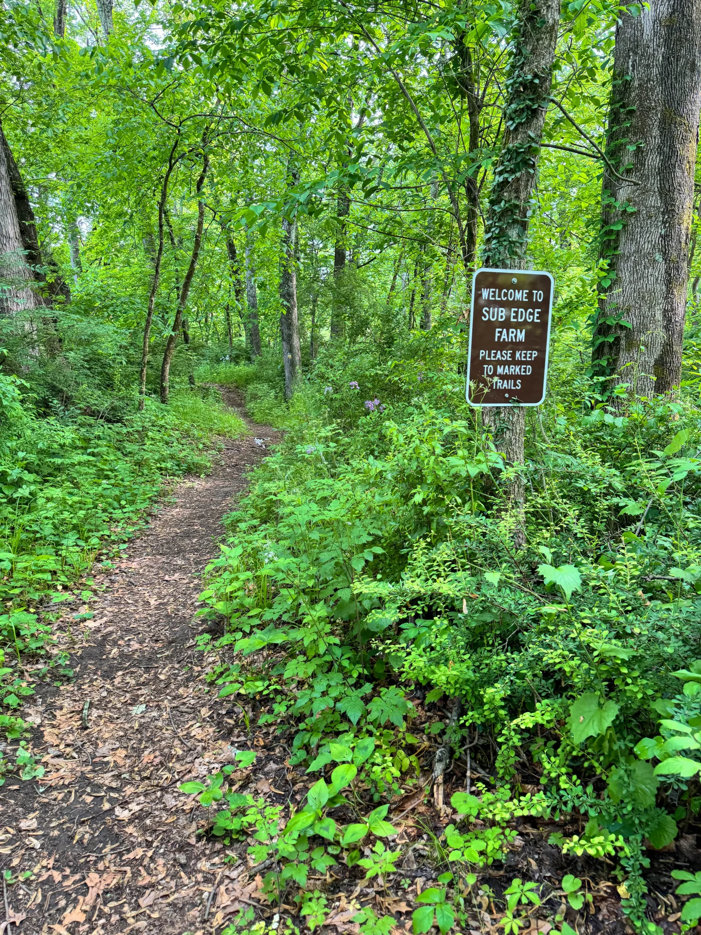 walking trail at sub edge farm in avon ct