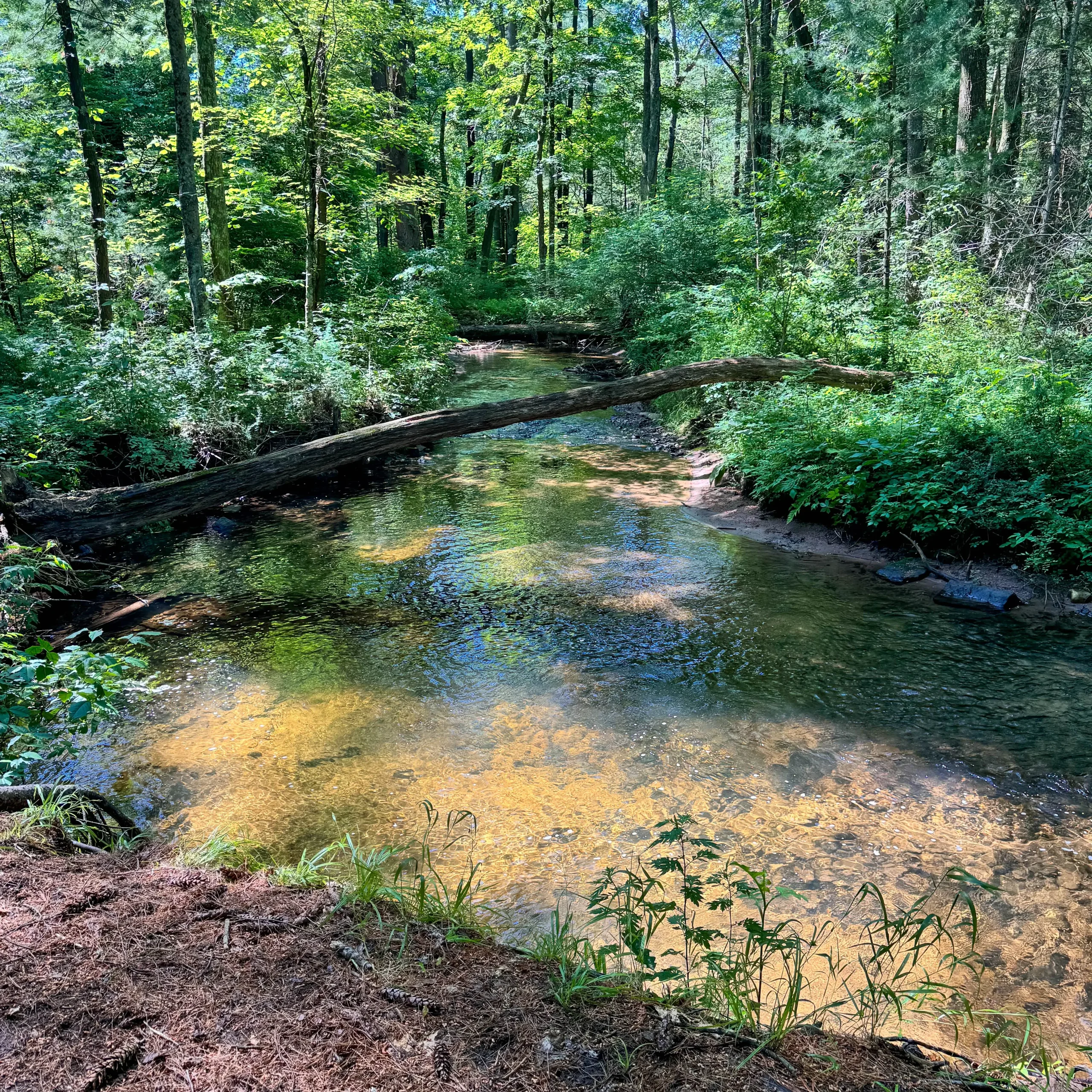 trail with river at sub edge farm in avon ct