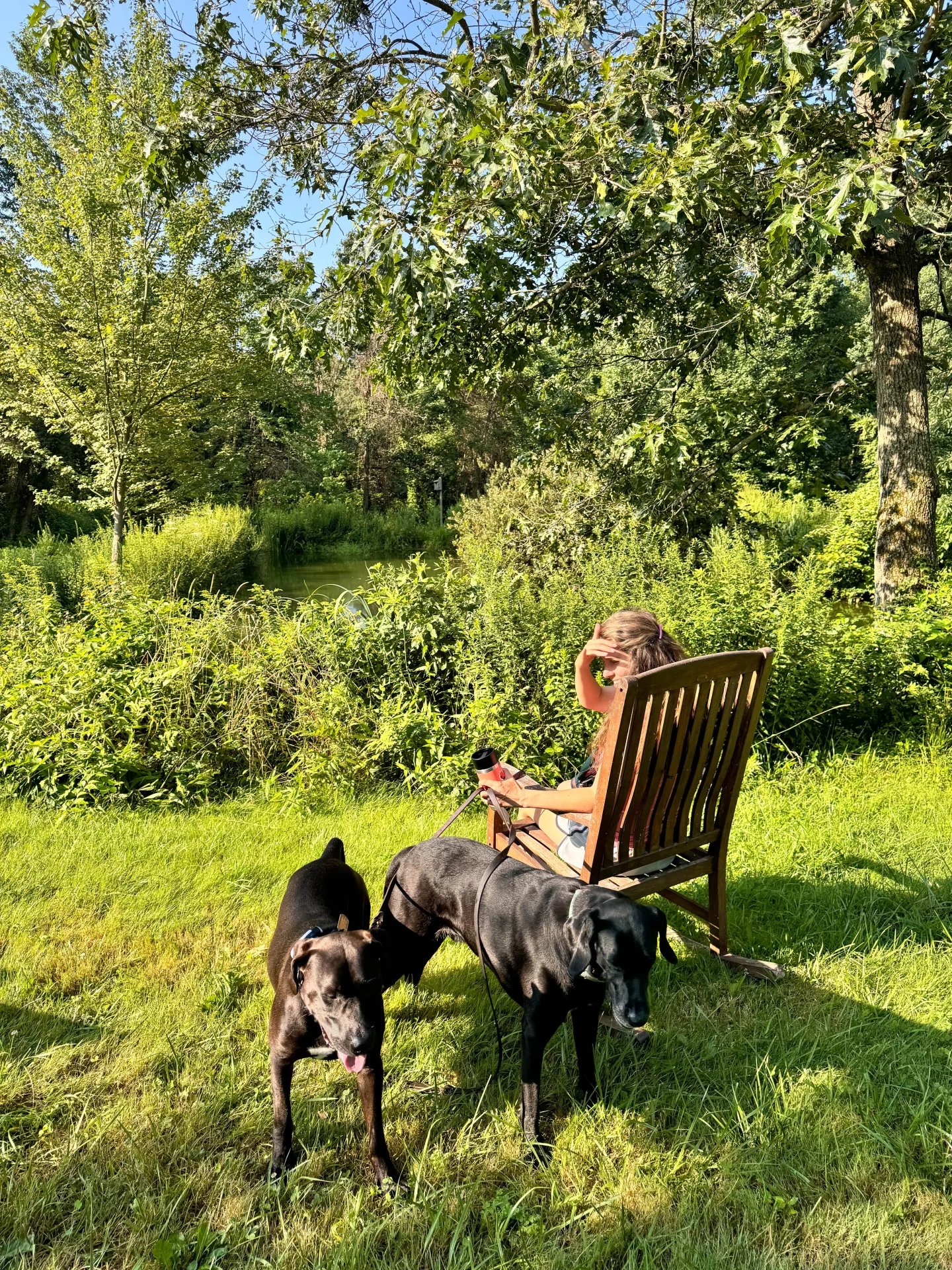 woman sitting on wooden chair with two big black dogs at bush hill farm in manchester connecticut