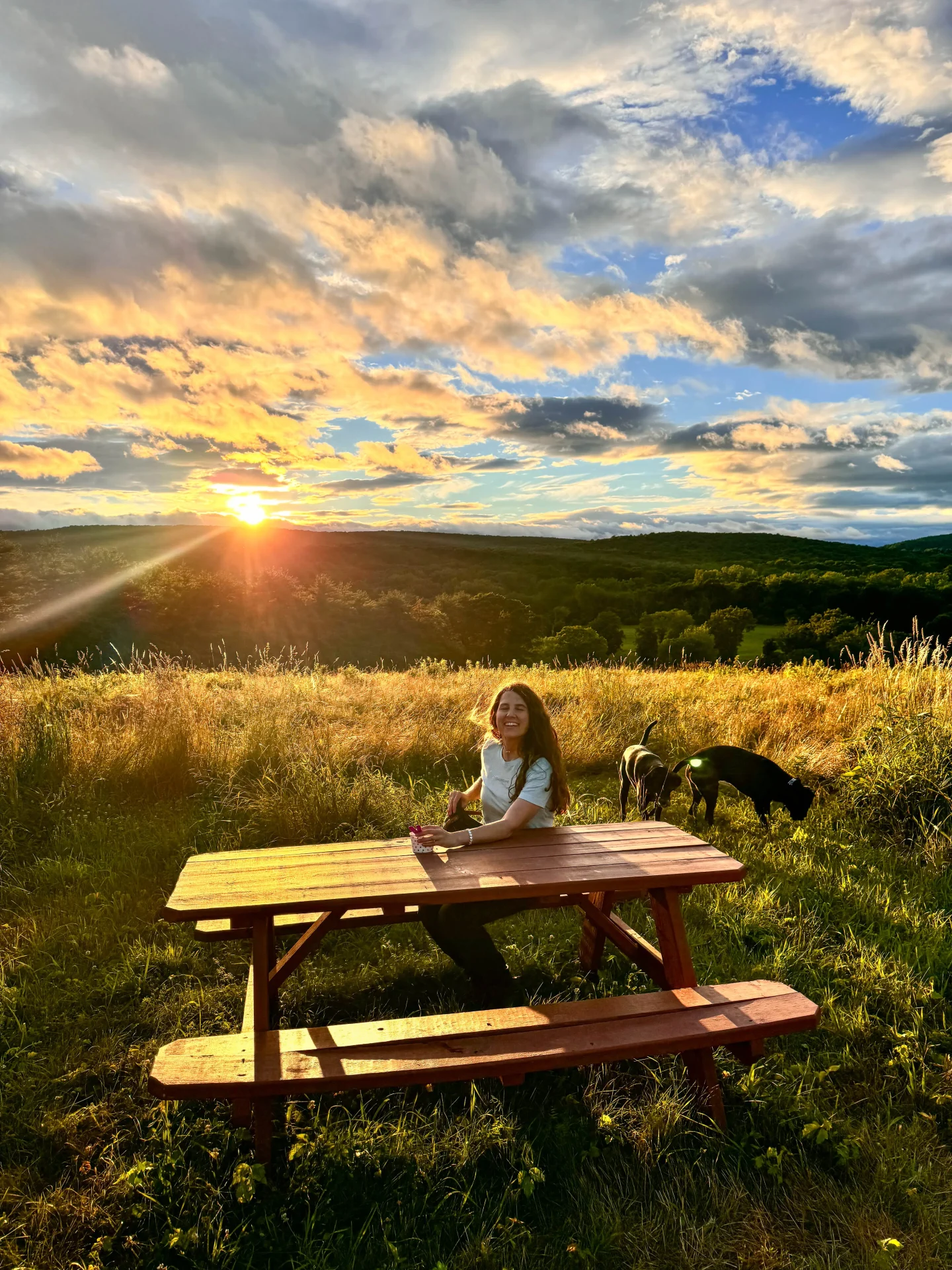 woman sitting at picnic table at auerfarm in connecticut in summer with sun setting in distance behind talcott mountain