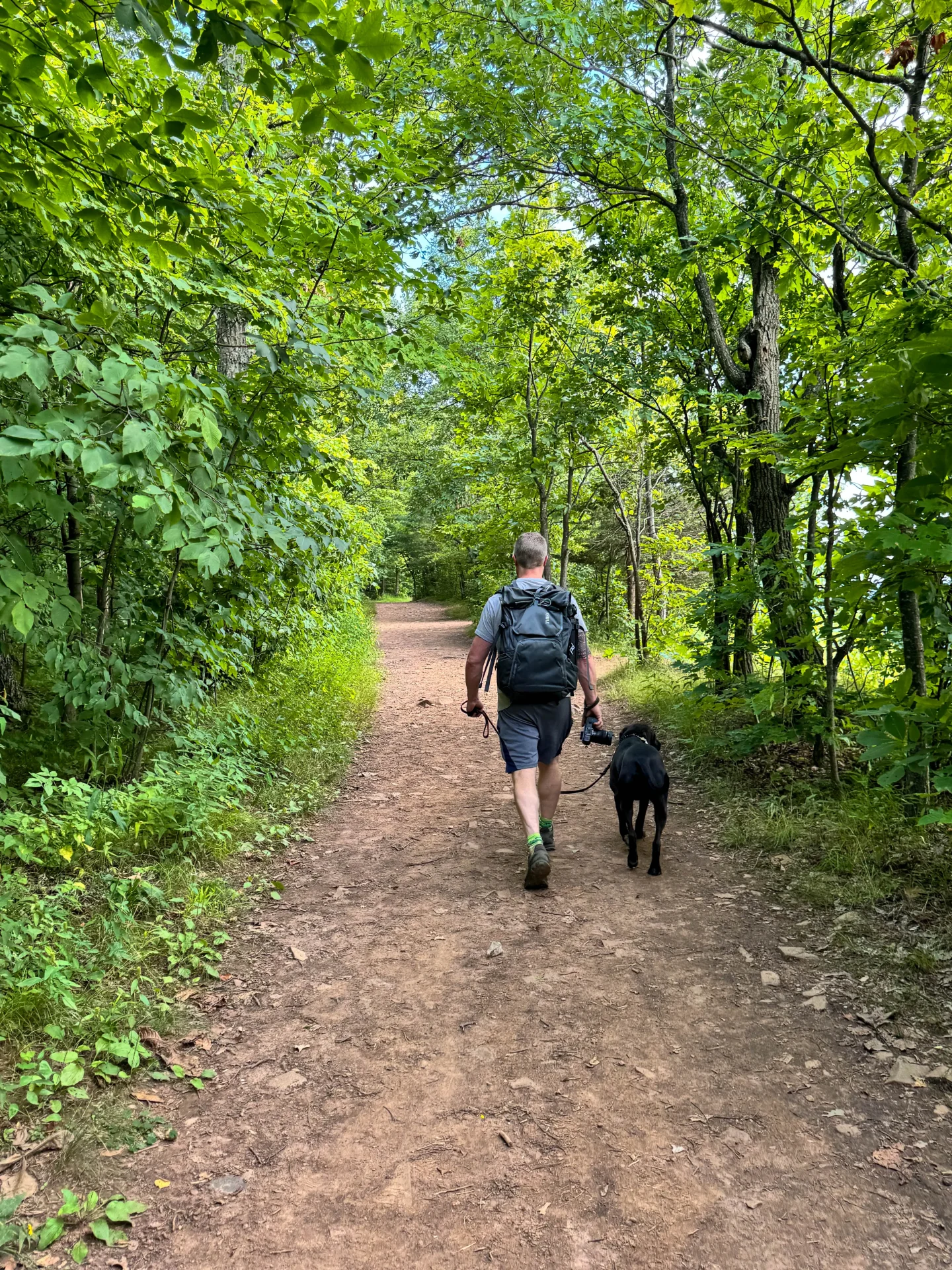 man walking with a medium brown dog on leash on a dirt trail at talcott mountain