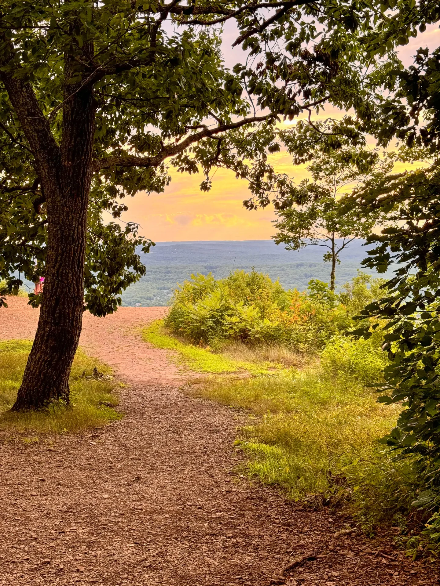 view from the trail at talcott mountain with golden sunset skies and green grass 