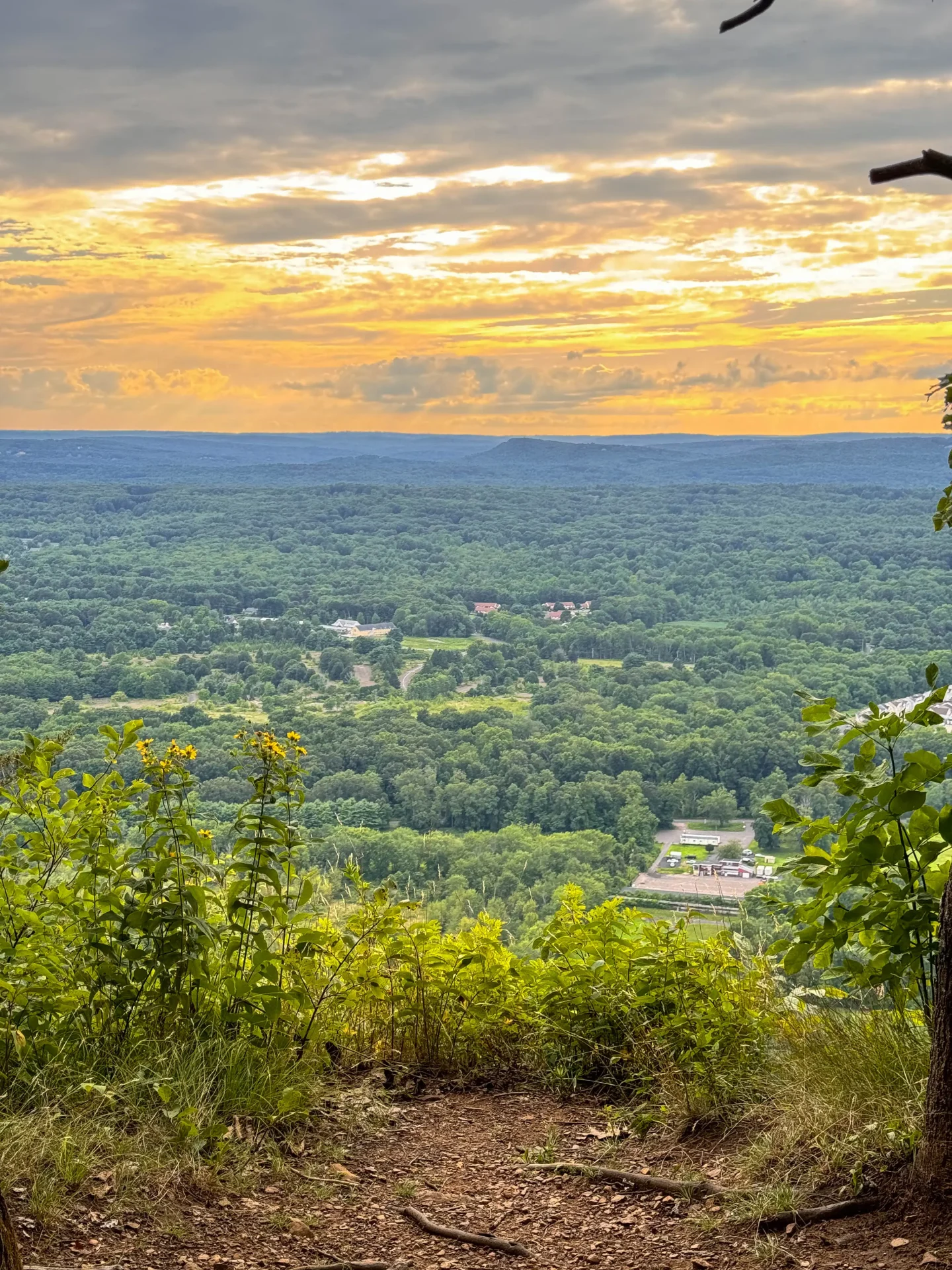 view from heublein tower trail over simsbury in summer with green landscape and orange golden skies at sunset time