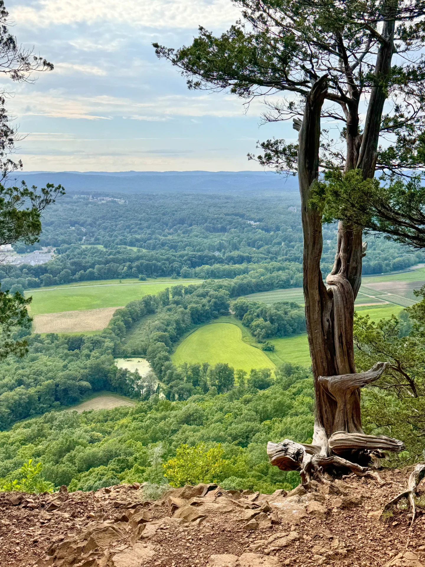 beautiful landscape view of green trees and hills in the distance from the heublein tower trail in simsbury