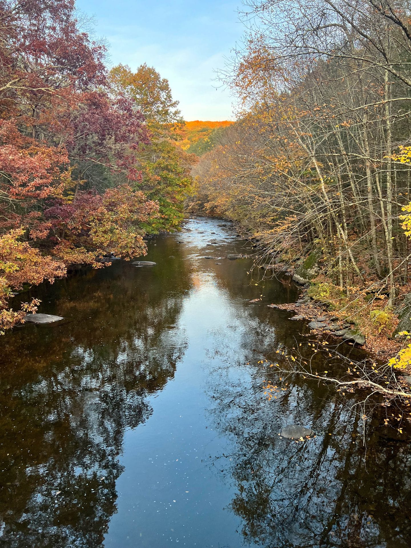 stretch of shepaug river at dusk with clear reflection in water of golden trees.