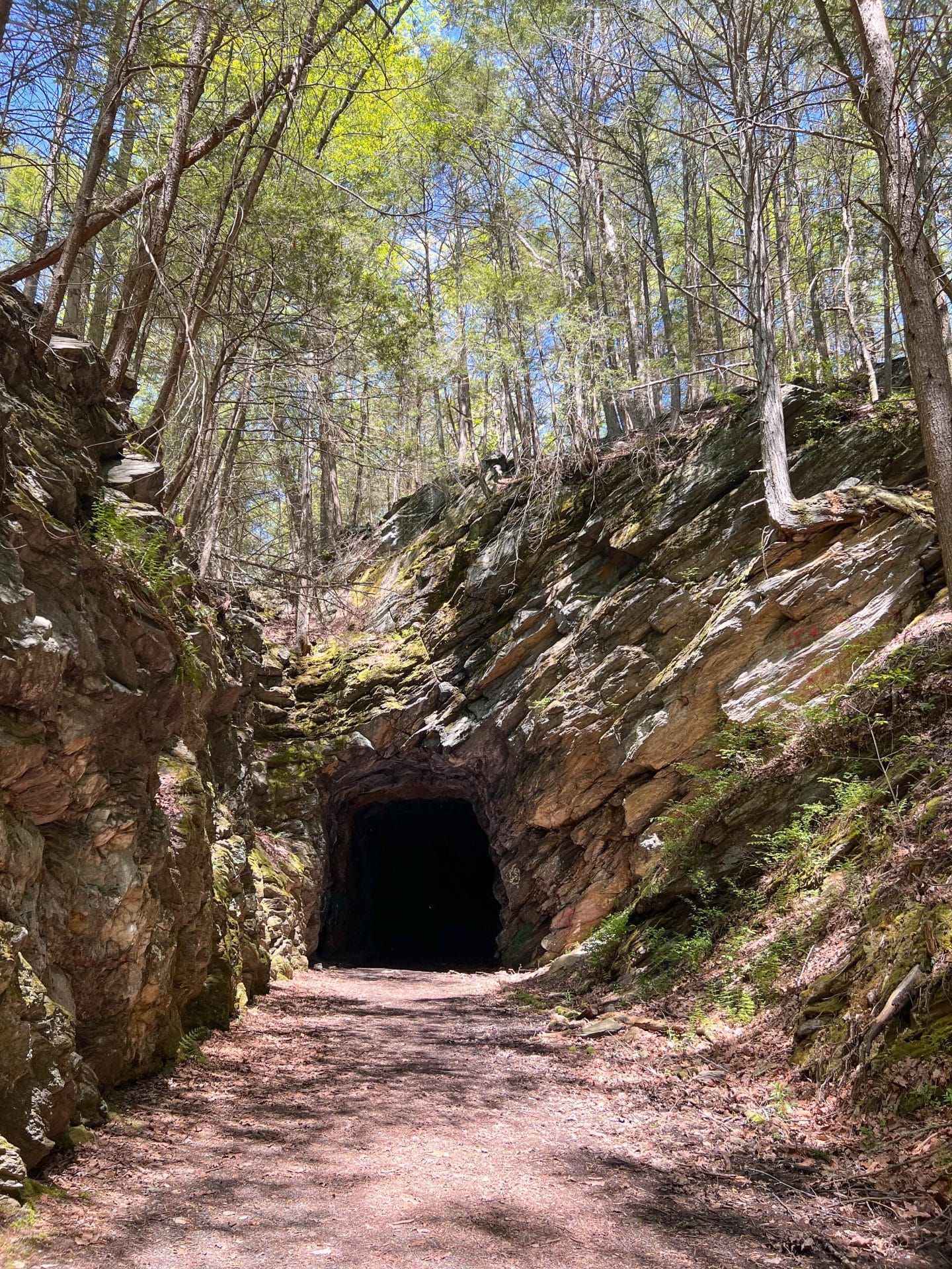 steep rock old railroad tunnel in summer surrounded by green trees in washington connecticut