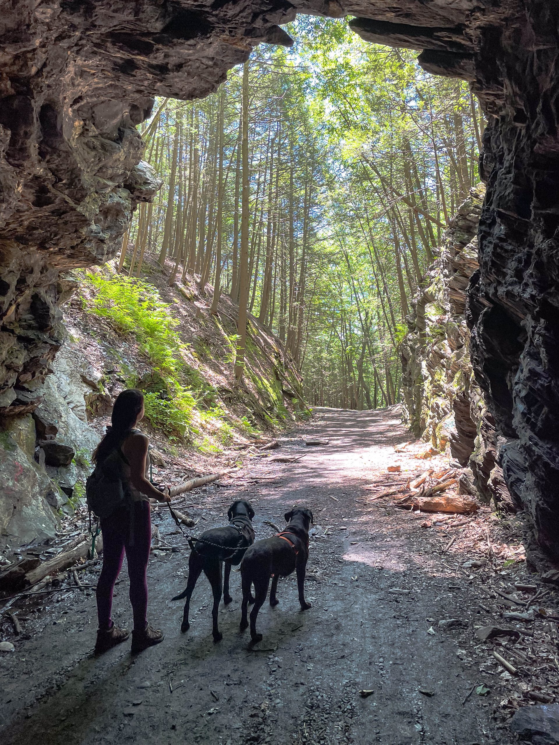 silhouette of woman and two dogs inside steep rock tunnel in washington ct in summer with green trees outside