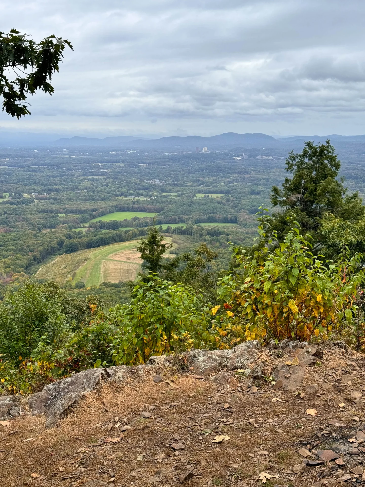 view from the top of mount norwottuck with greenery in background