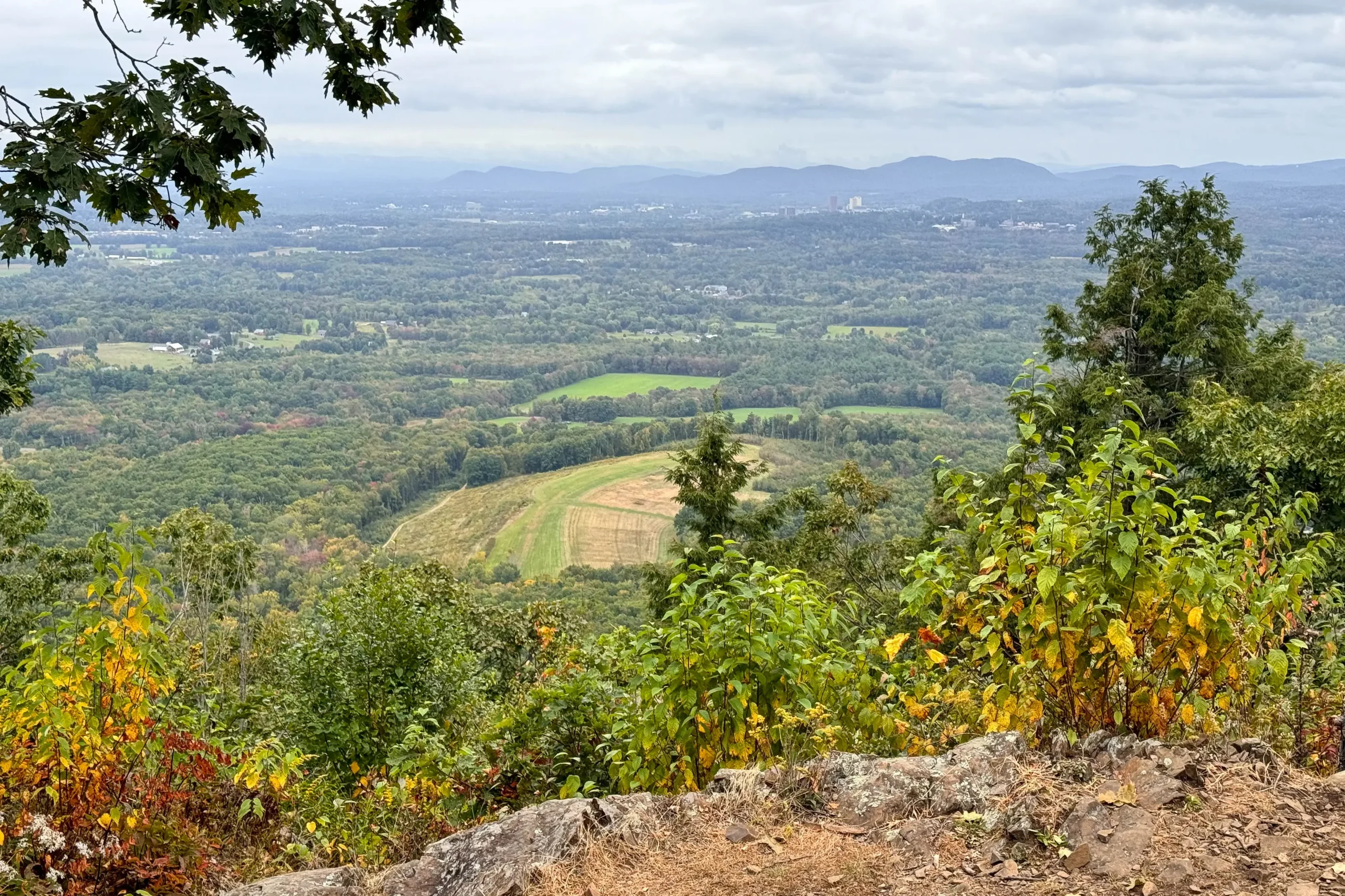 view from the top of mount norwottuck with greenery in background