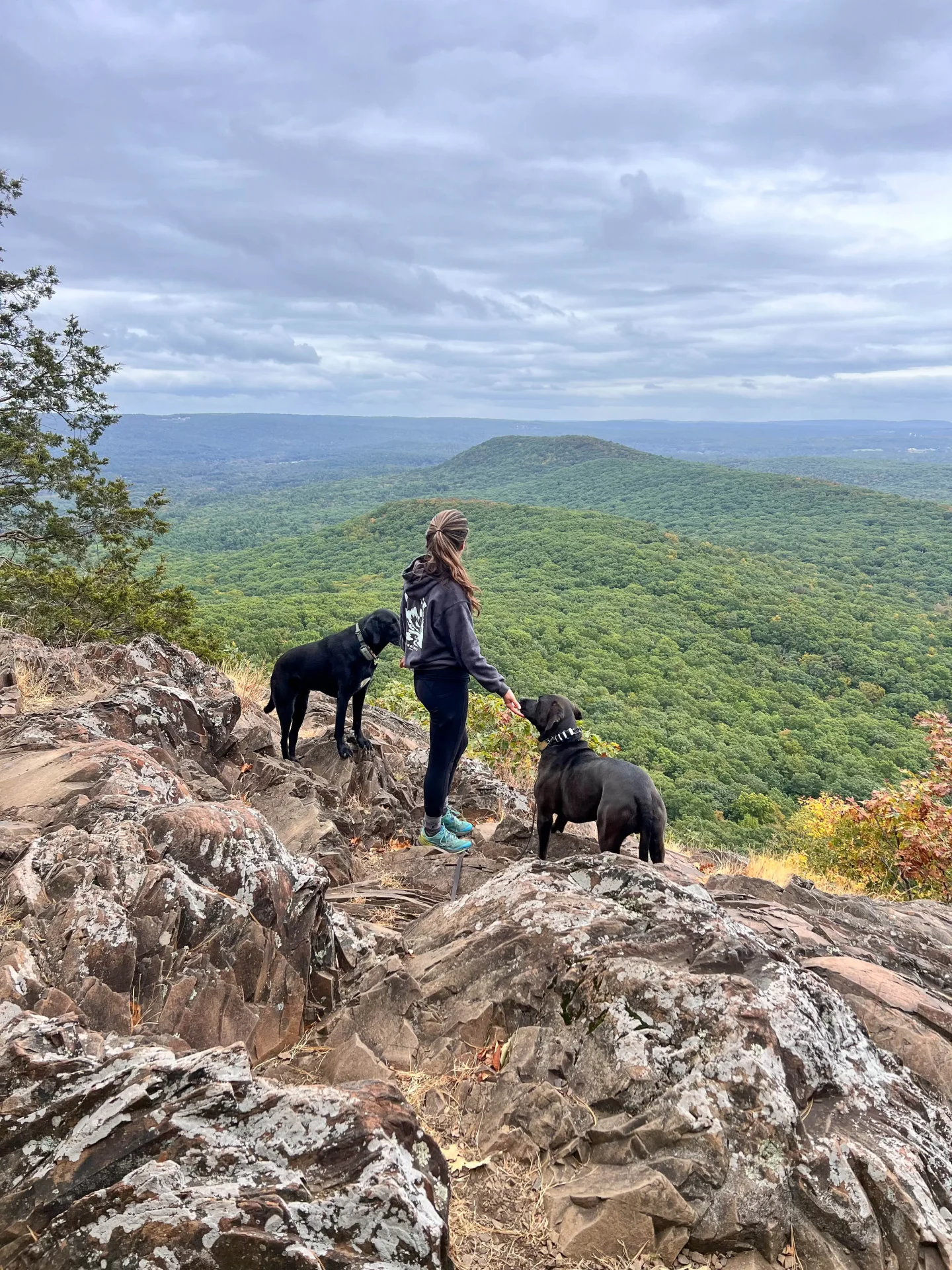 woman smiling on top of mount norwottuck with black dog and green mountains in the background