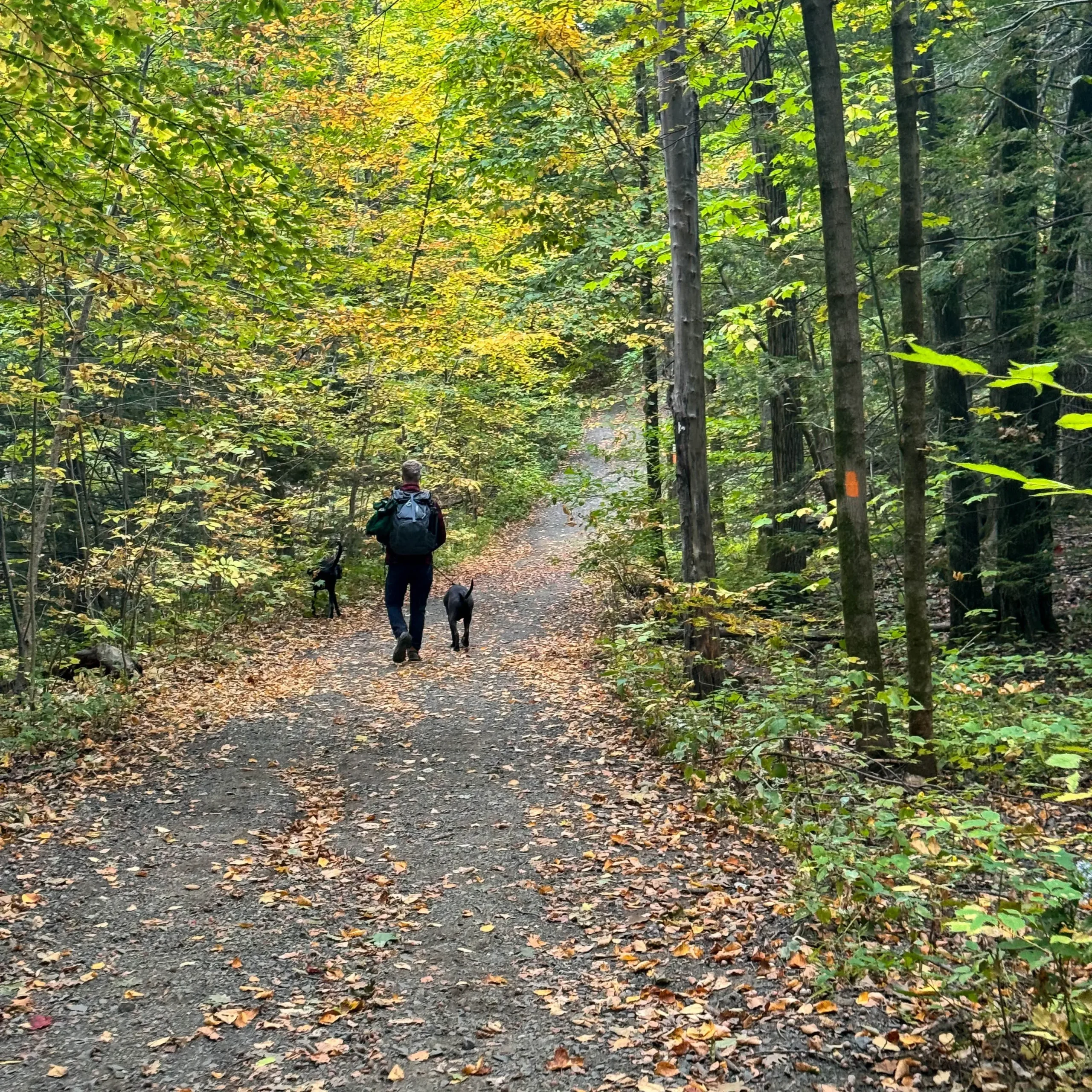 trail in mount holyoke state park