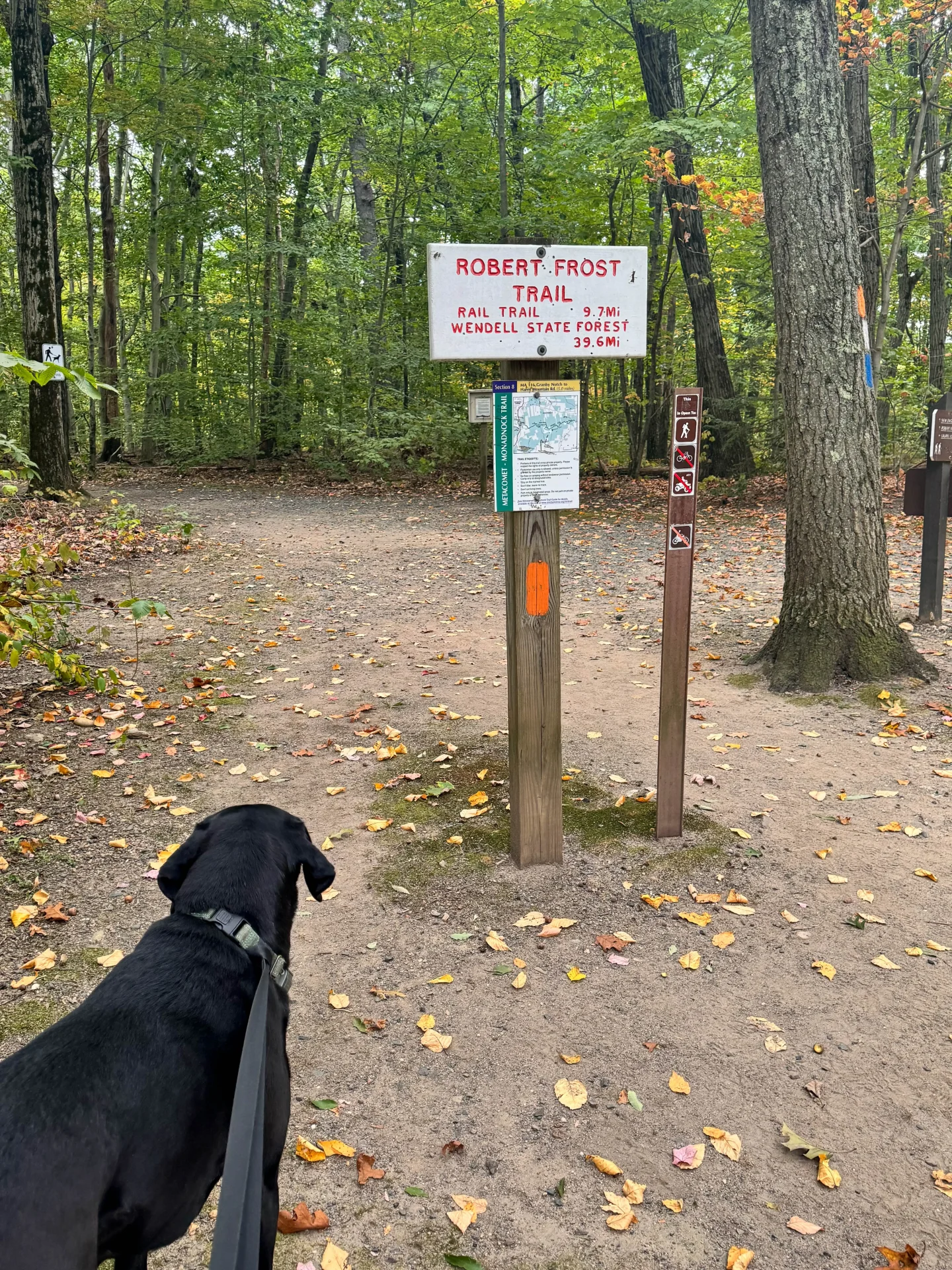 start of the trail leading to mount norwottuck