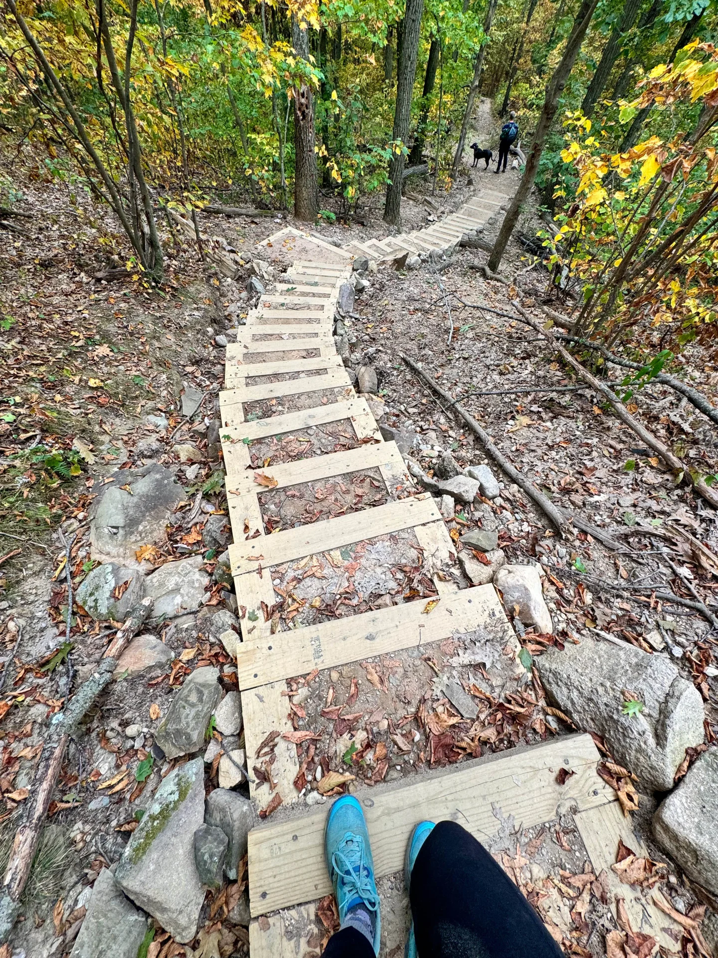 wooden steps leading down a trail