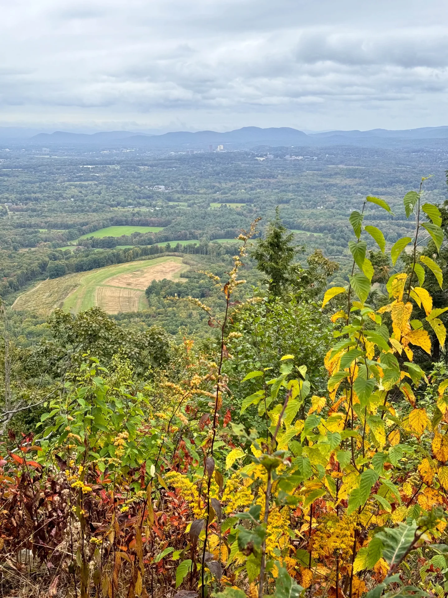 view from the top of mount norwottuck with greenery and red leaves in the front at the start of fall