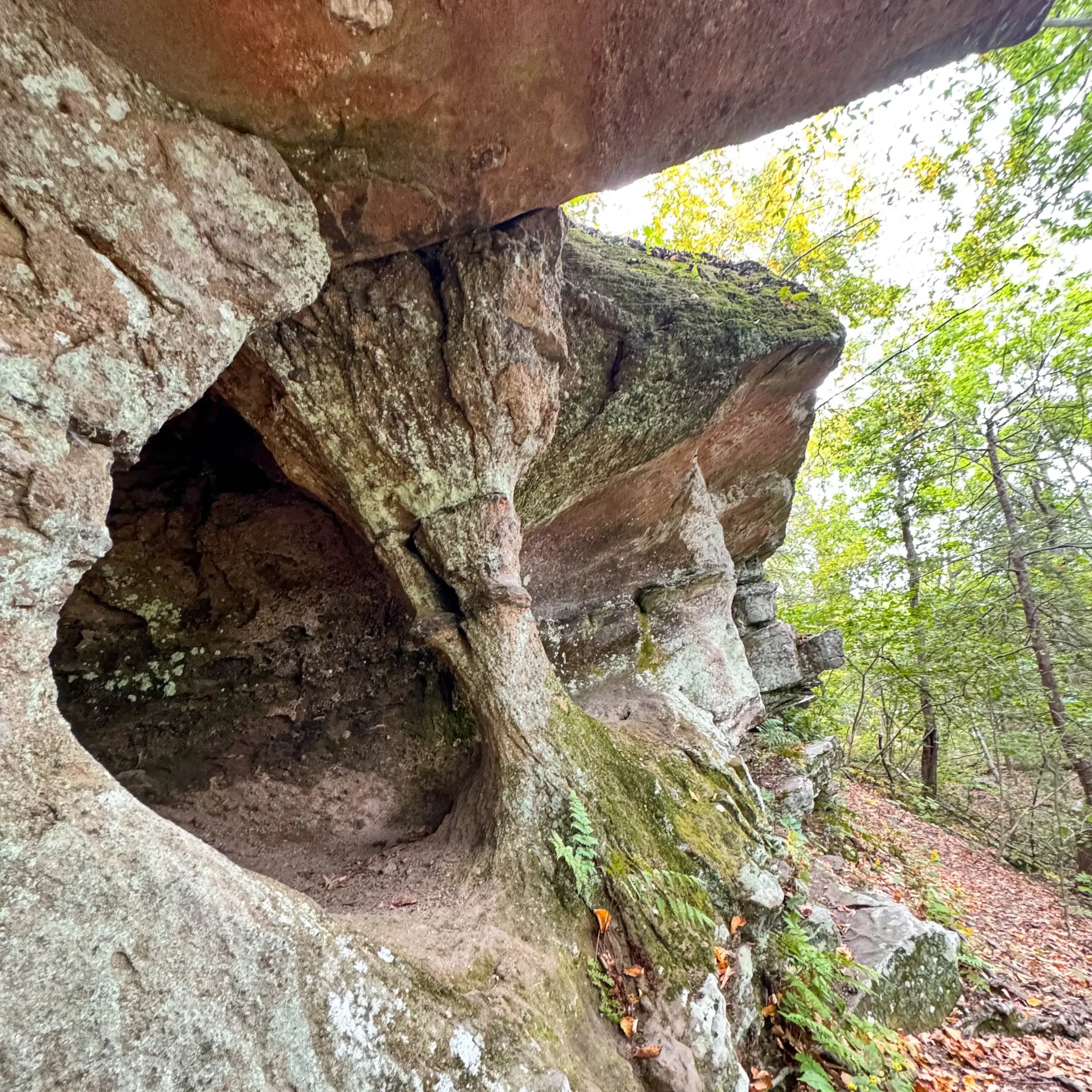 horse caves on the way to mount norwottuck in massachusetts