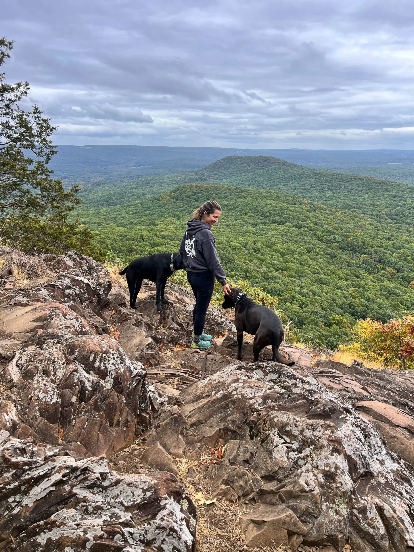 woman smiling on top of mount norwottuck with black dog and green mountains in the background