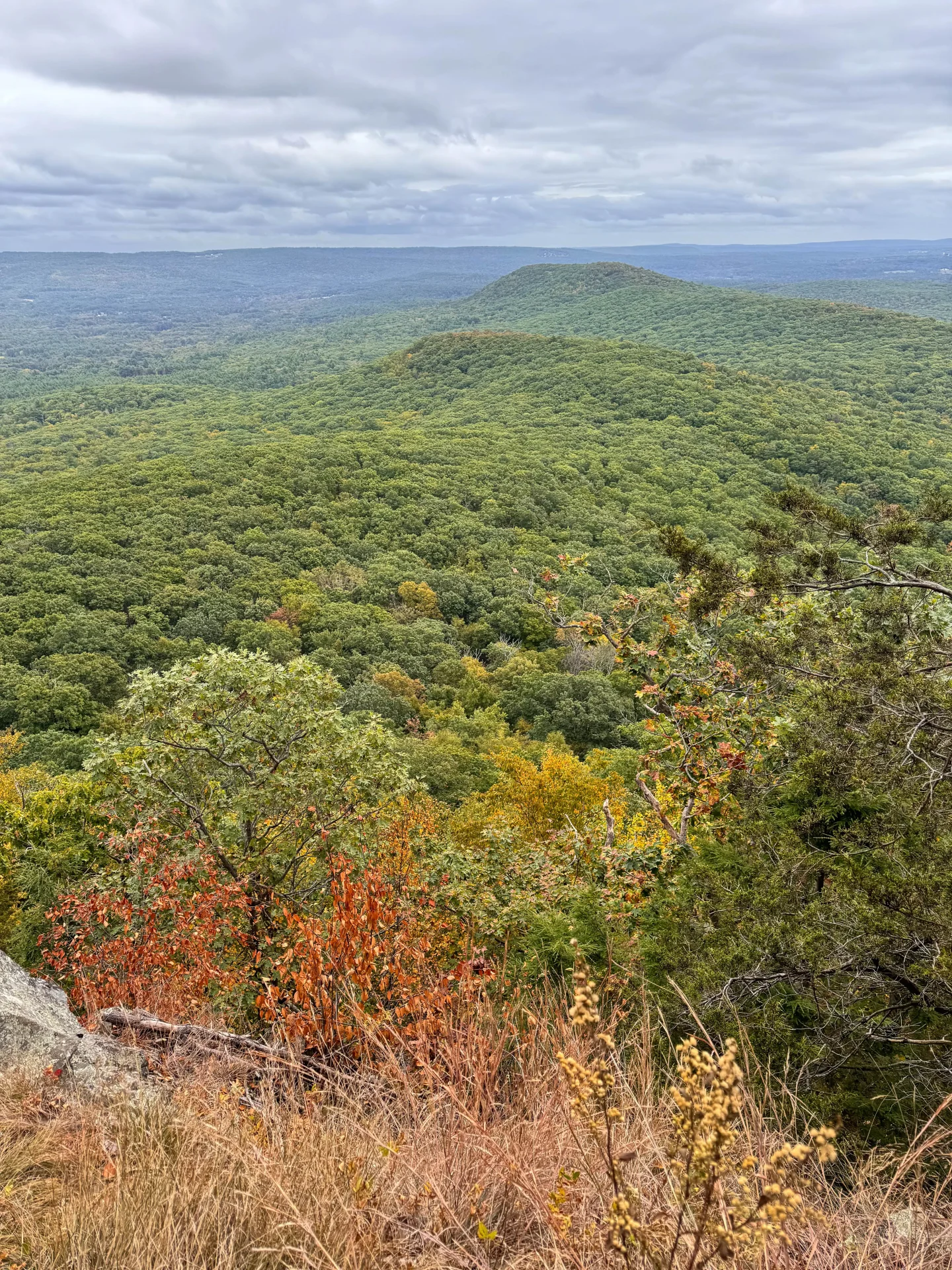 view from the top of mount norwottuck with greenery and red leaves in the front at the start of fall