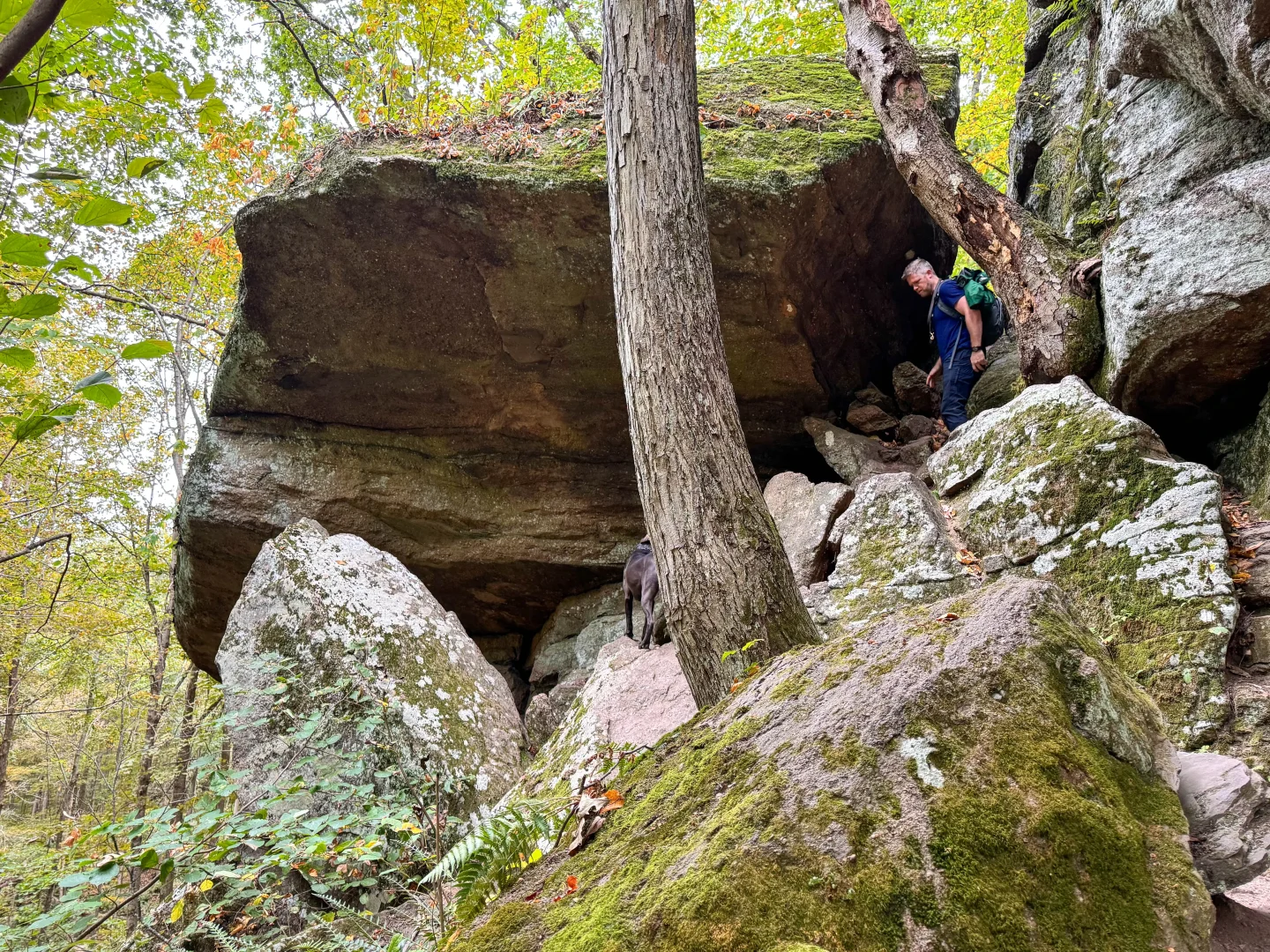 horse caves on the way to mount norwottuck in massachusetts