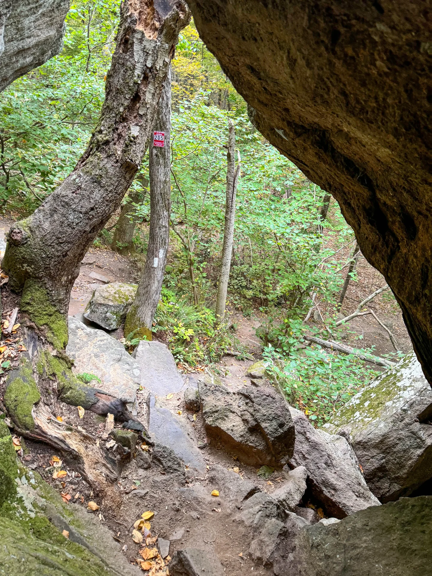 horse caves on the way to mount norwottuck in massachusetts