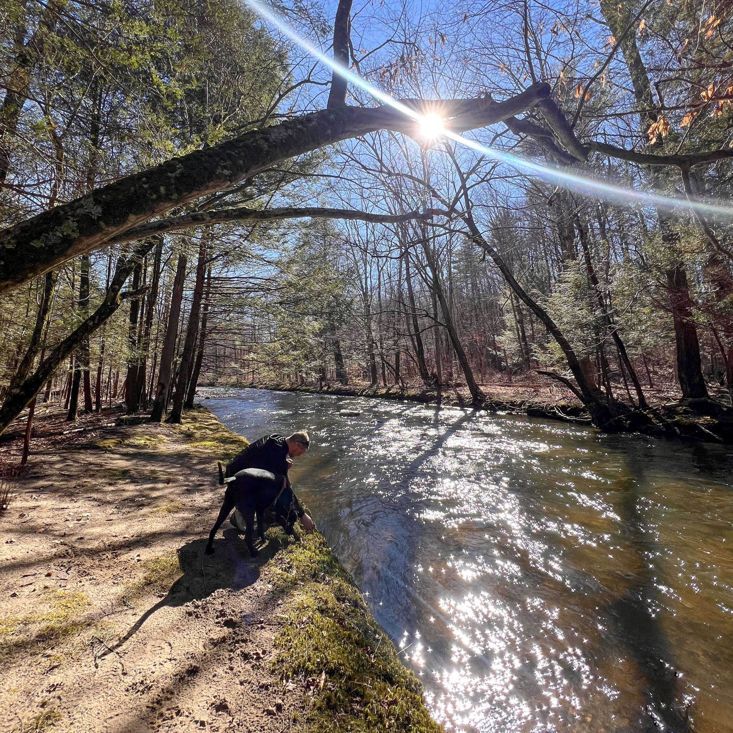 man and black beautiful dog hiking at medicine rock loop trail in litchfield connecticut