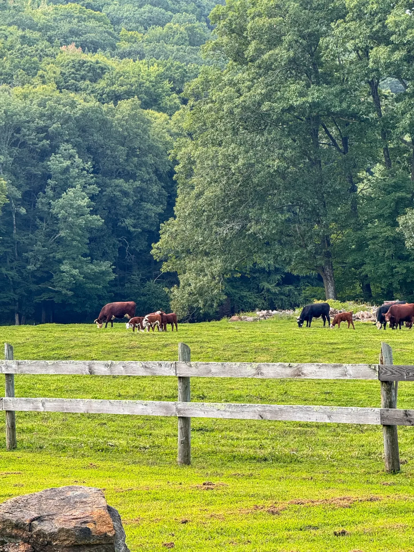 Day Trip to Granville, MA: Hikes, Waterfalls, & Local Charm