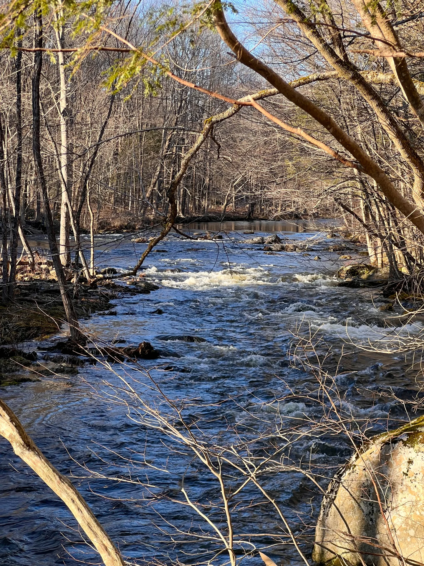 shepaug river trail in litchfield ct