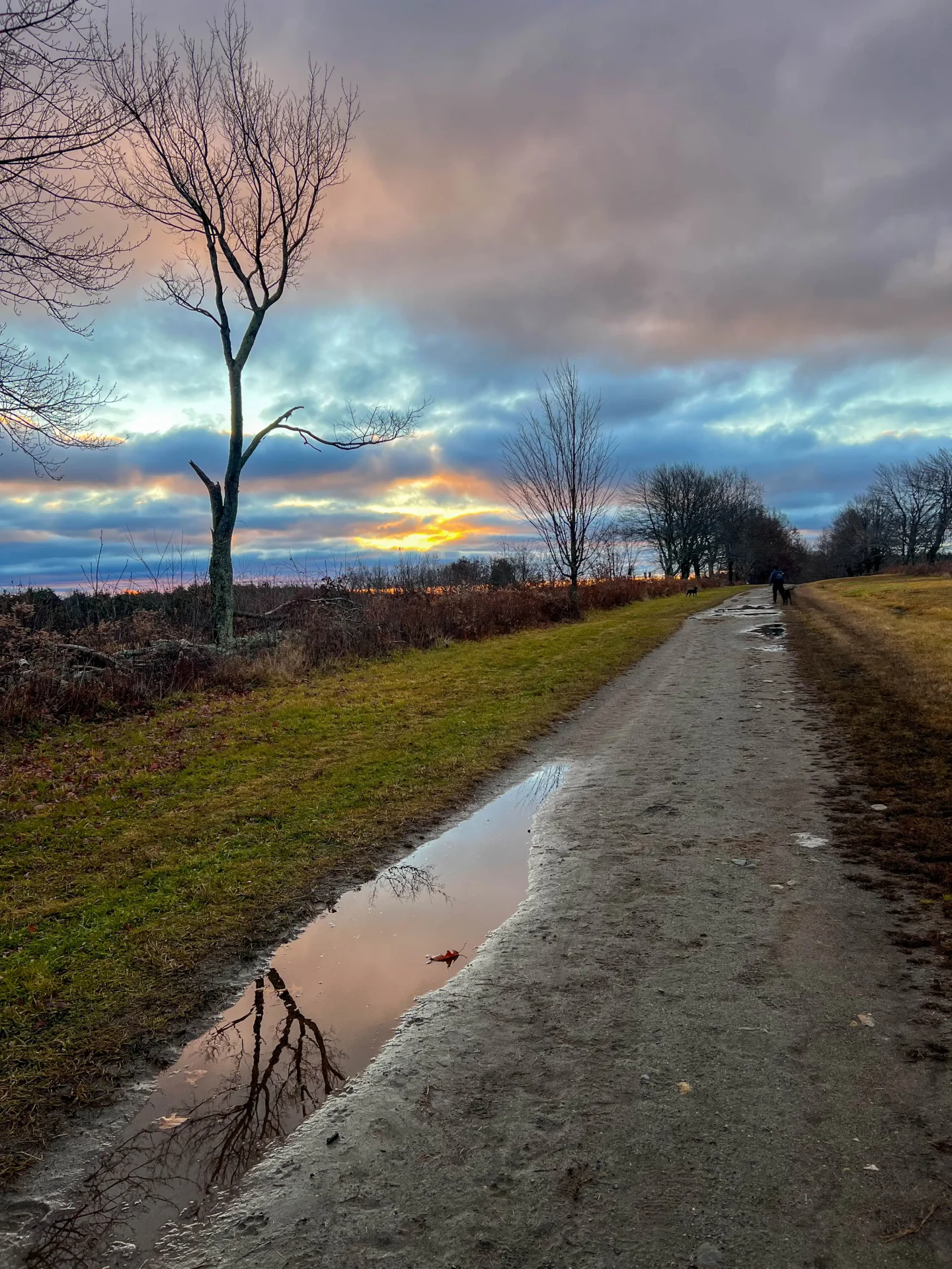 trail at topsmead state park in litchfield