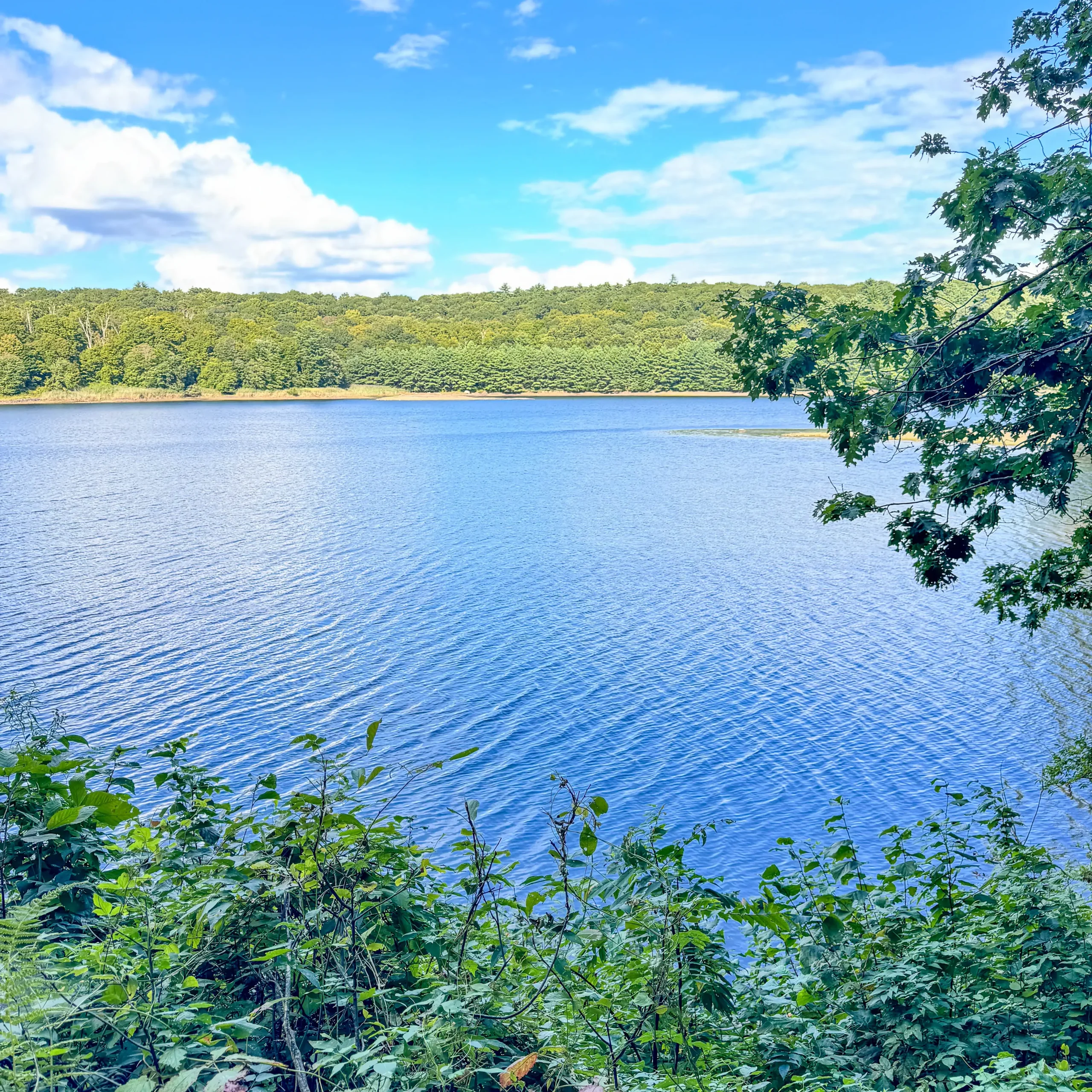 view of blue reservoir in litchfield connecticut