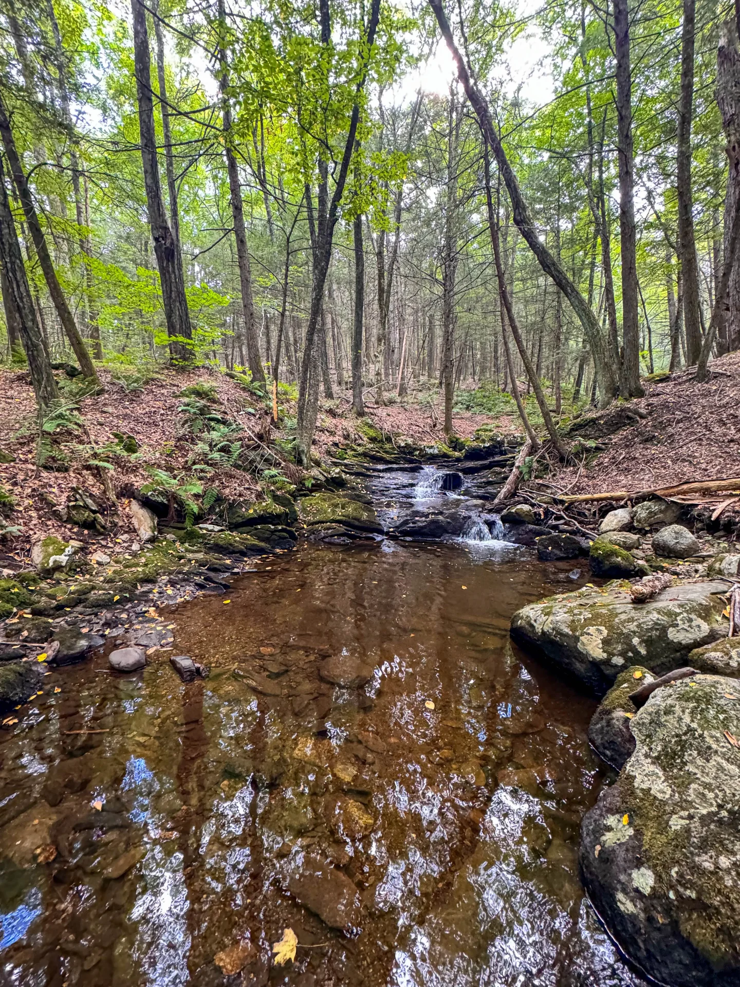 waterfall hike in litchfield connecticut