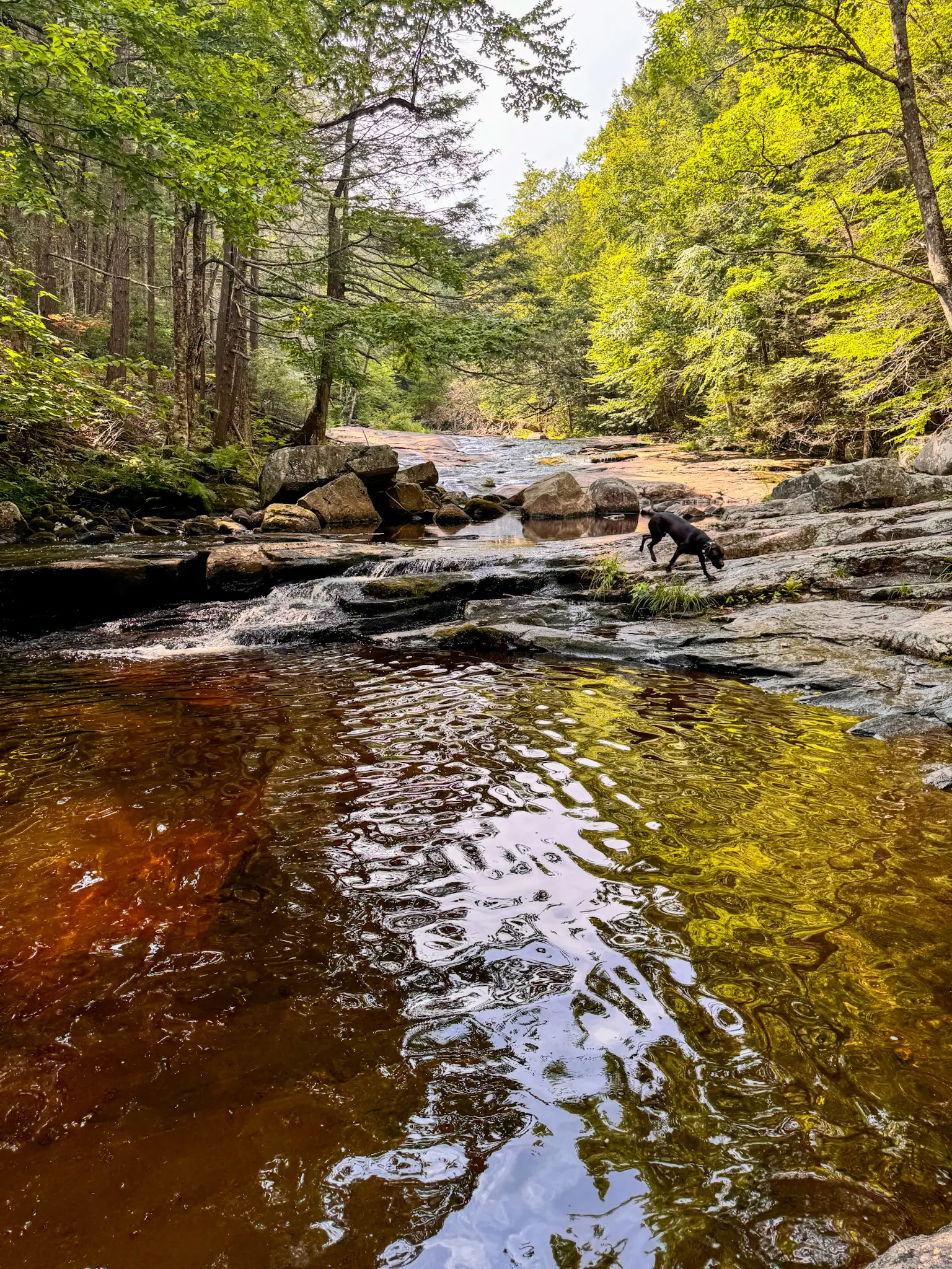 Day Trip to Granville, MA: Hikes, Waterfalls, & Local Charm