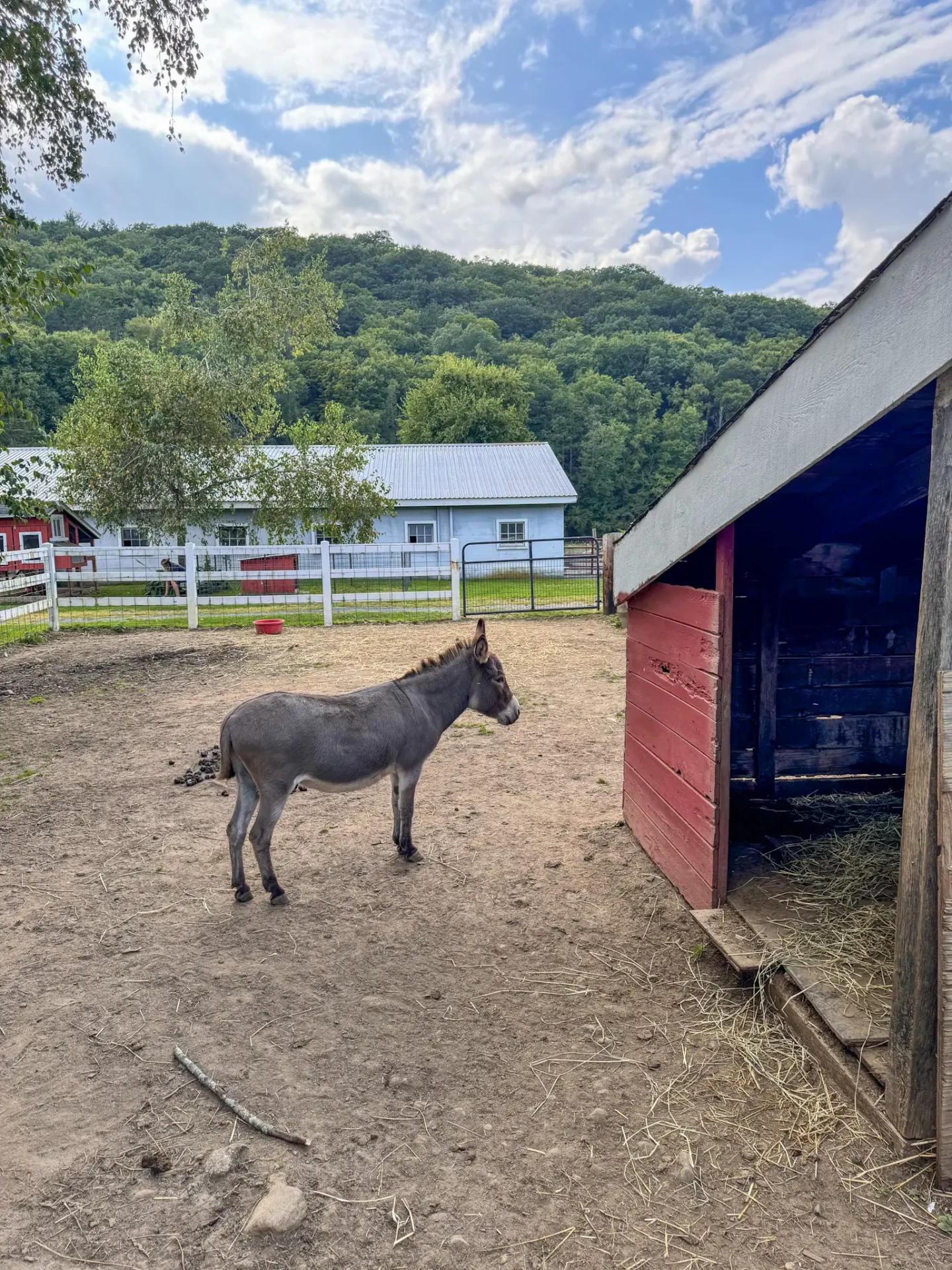 Day Trip to Granville, MA: Hikes, Waterfalls, & Local Charm