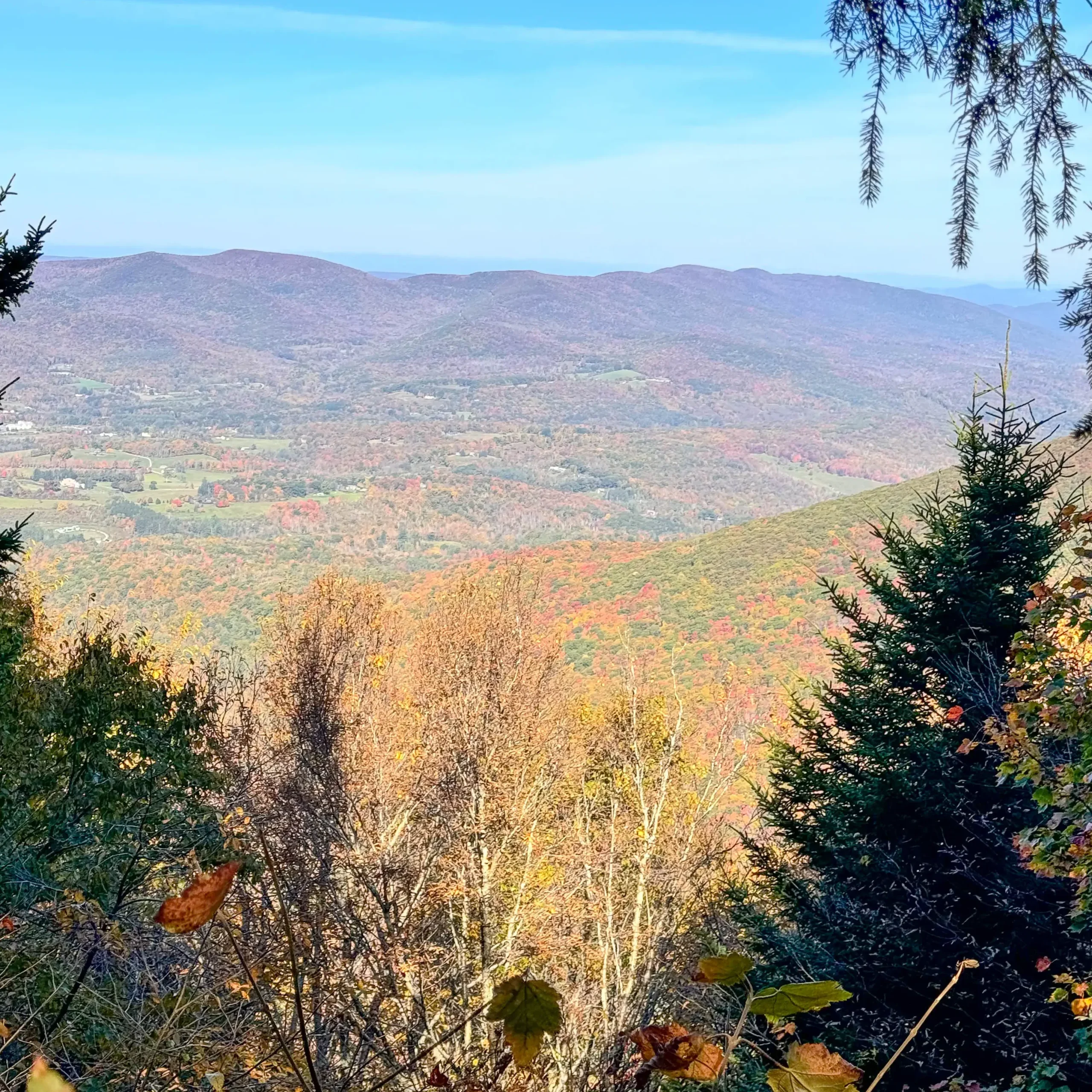 view from hopper trail at mount greylock