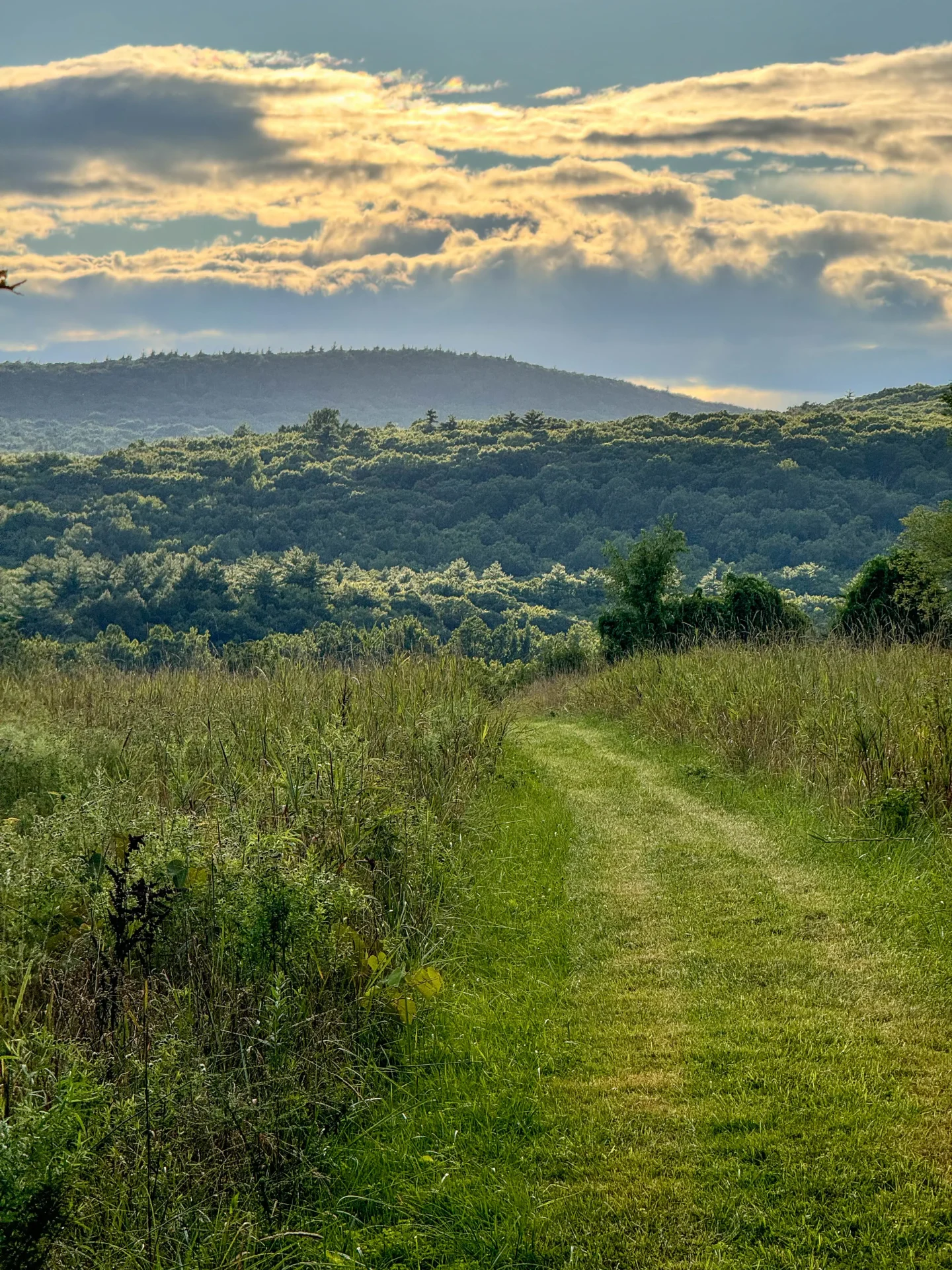 Day Trip to Granby, CT: Hikes, Farms, Vineyards, & More!