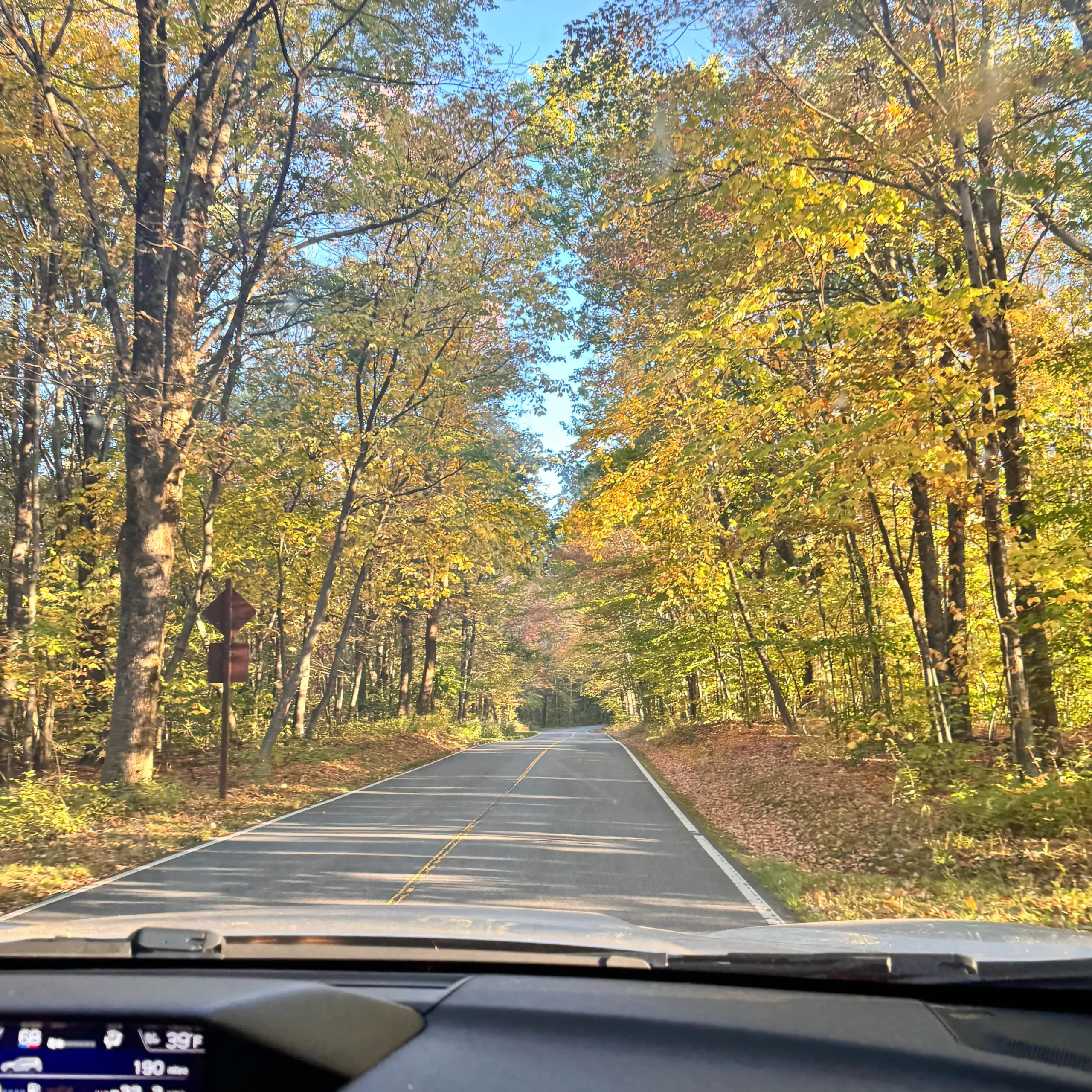 driving up mount greylock in the fall