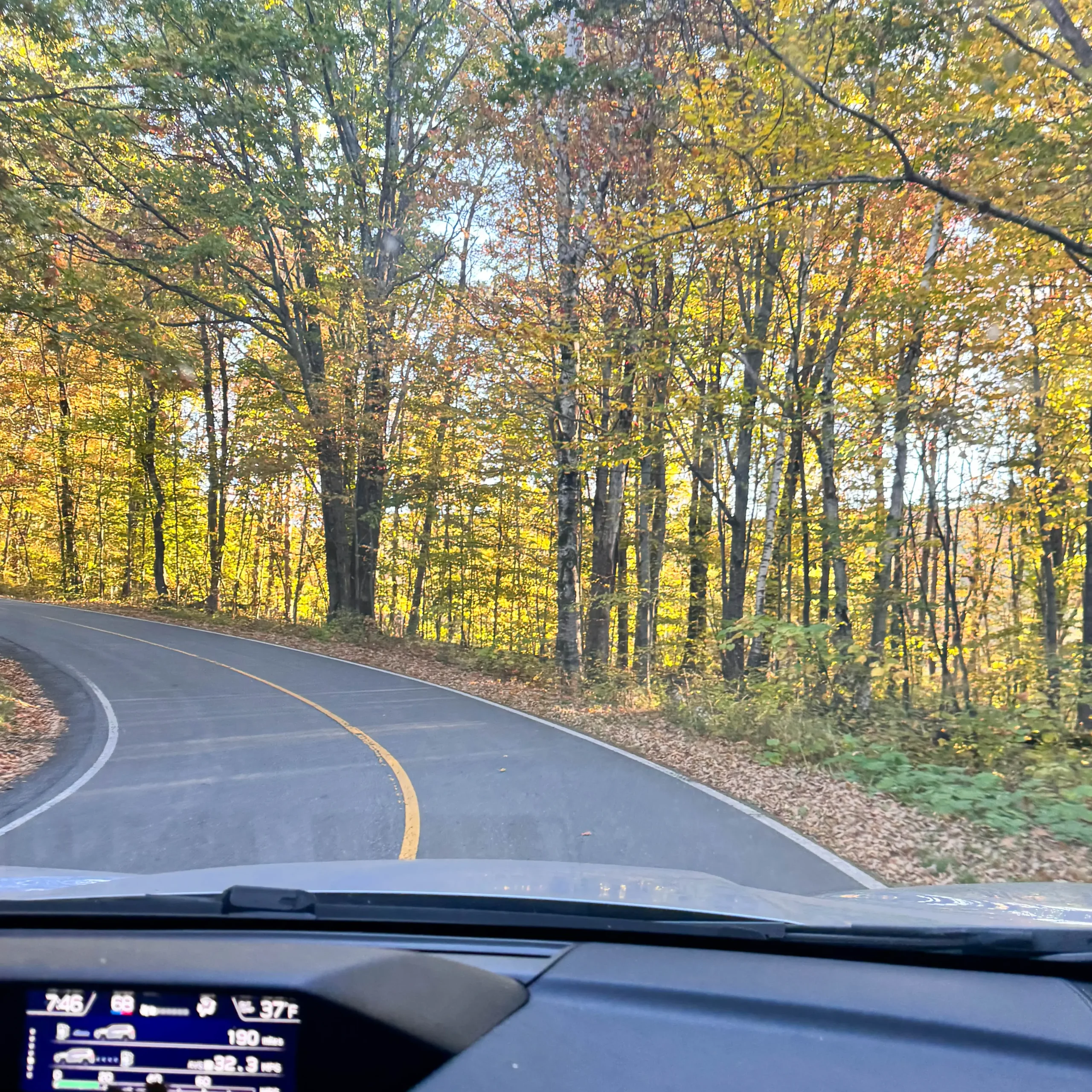 driving up mount greylock in the fall