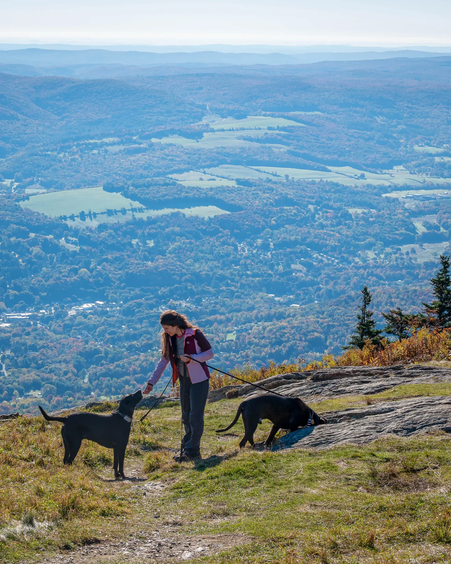 view from the top of mount greylock with woman and two big black dogs in the photo on a sunny day