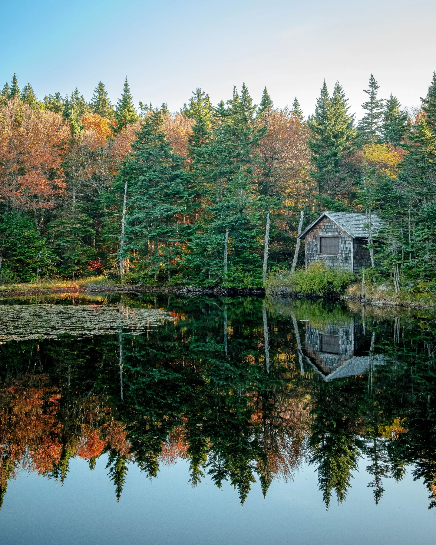 cabin and pond with reflection on one of the trails up mount greylock