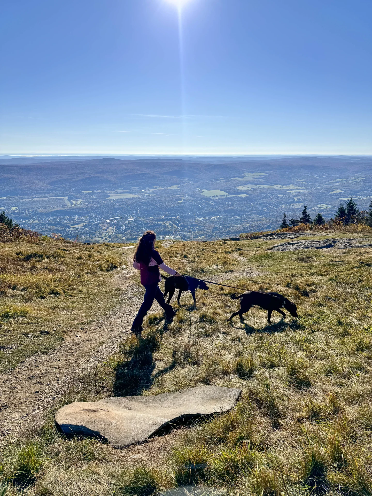 view from the top of mount greylock with woman and two big black dogs in the photo on a sunny day