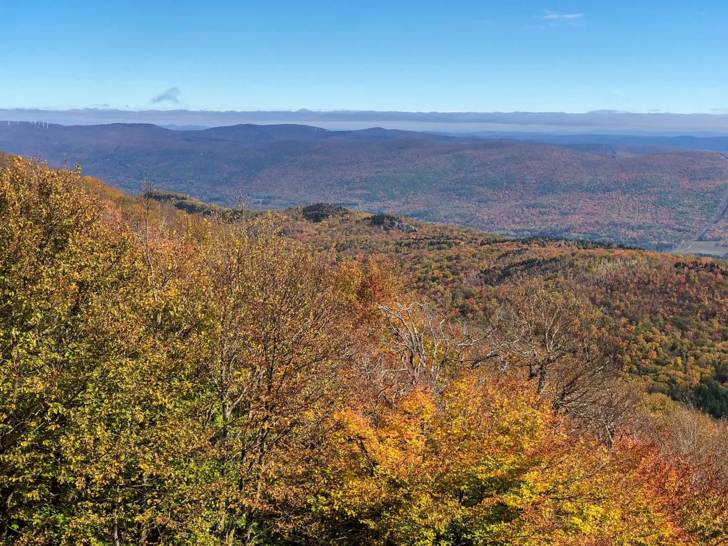 fall view from bellows pipe trail up mount greylock