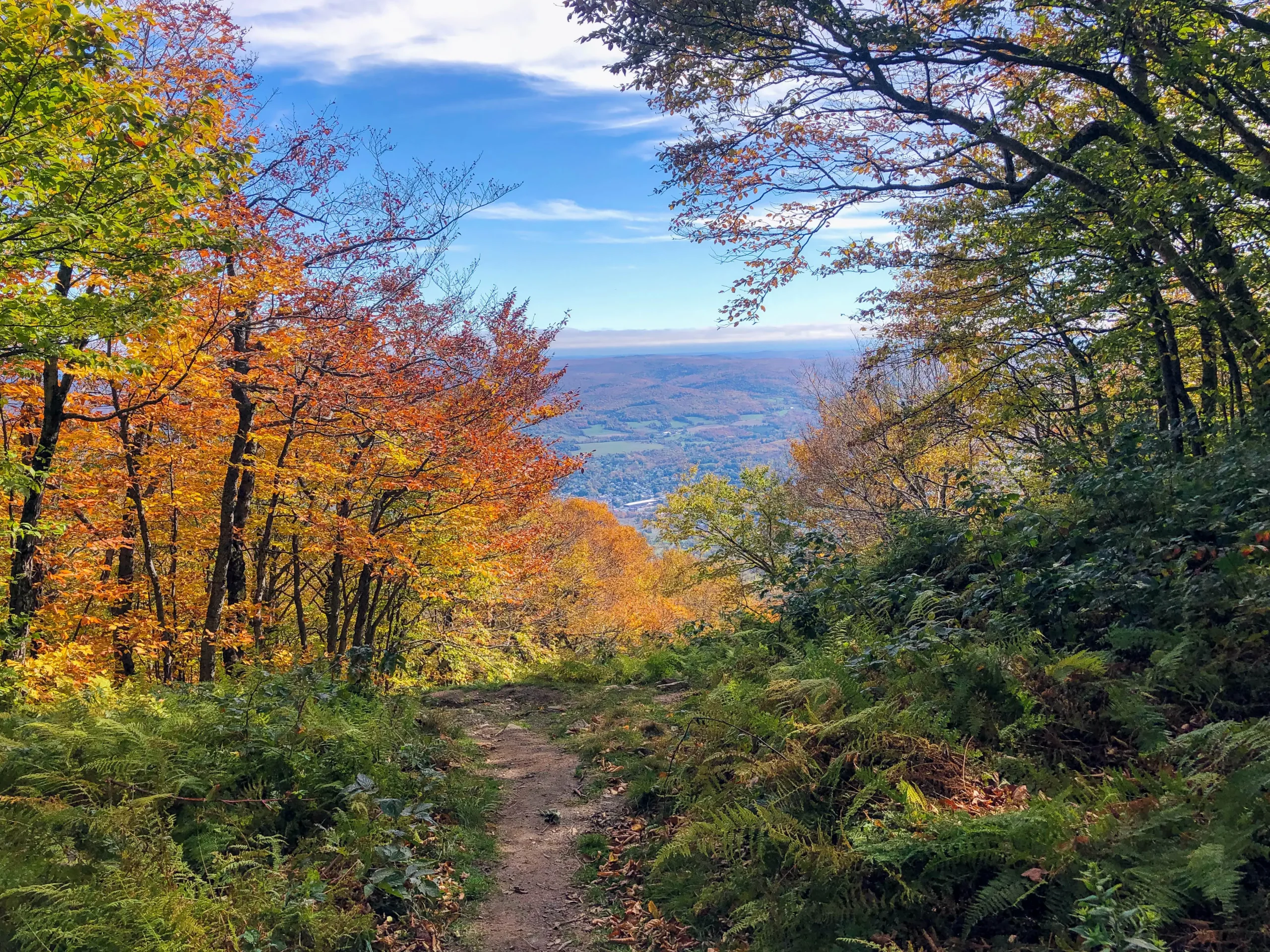 Hike Mount Greylock: 4 Distinct Routes up MA’s Tallest Mountain!