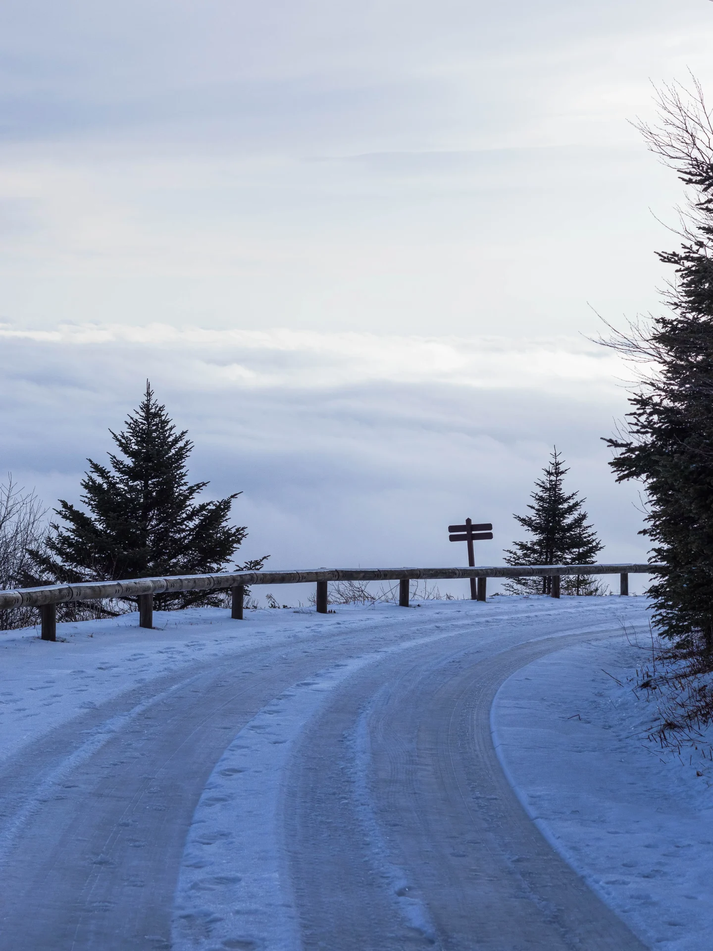 winter foggy view from top of mount greylock in massachusetts