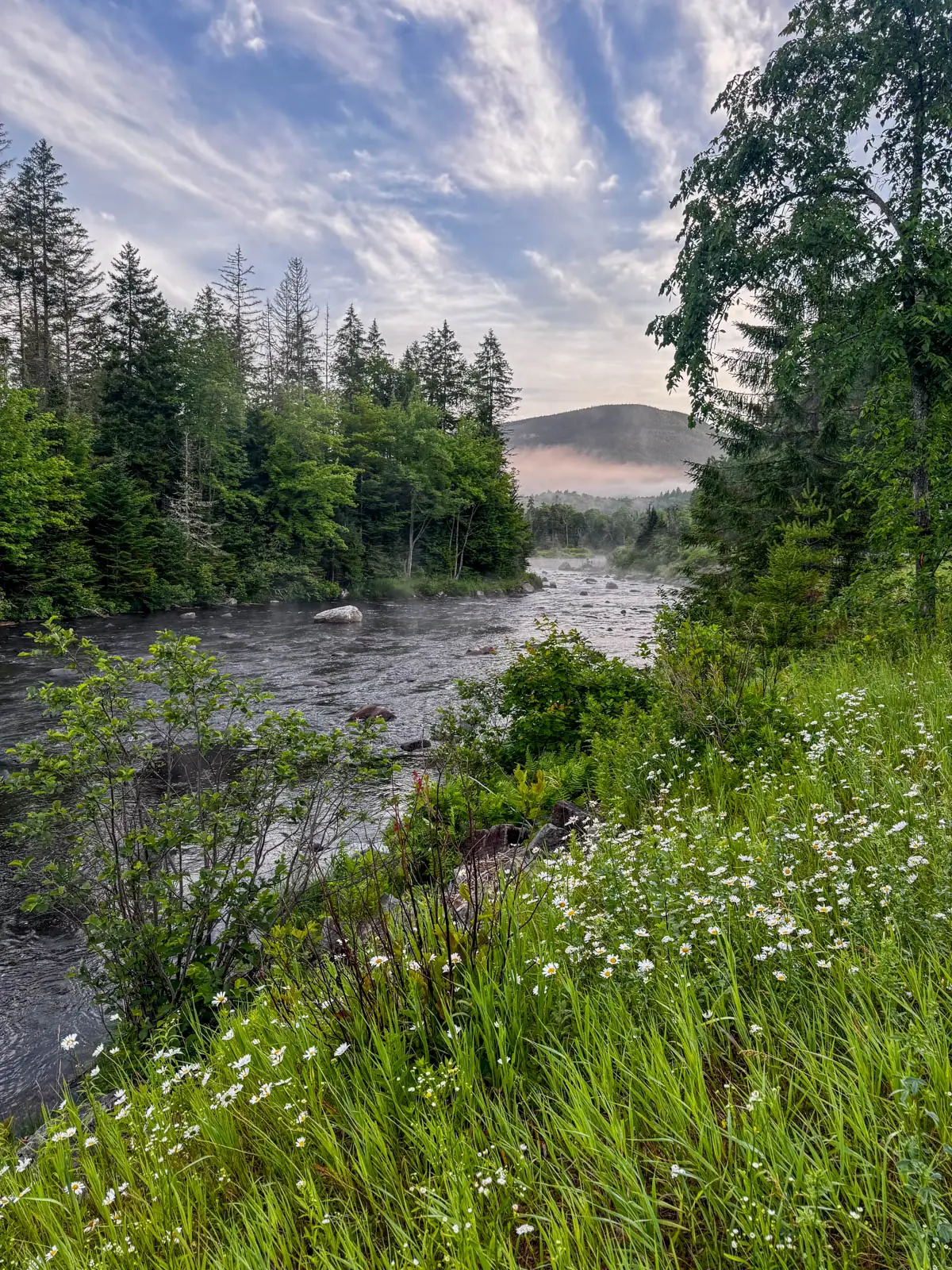 sunrise view of river lined with bright green evergreens and mountain in distance with orange sky outlining it and fog rising up above the river.