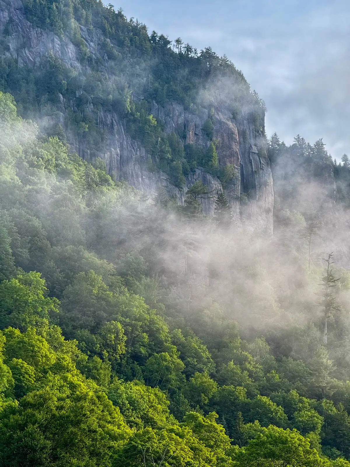 rocky cliff with bright green trees lining layers of the cliff face and fog rising up with cloudy sky above.